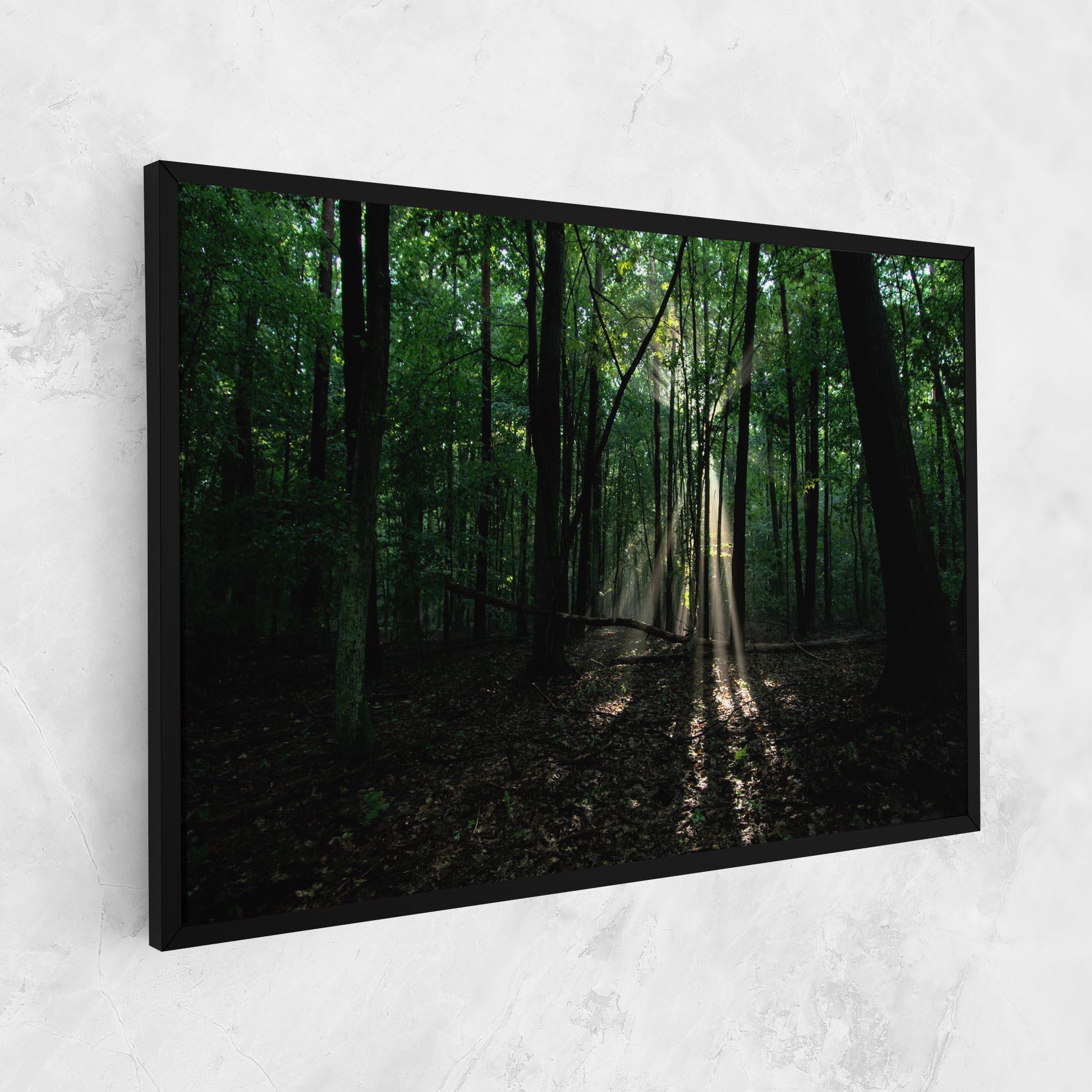 Leinwandbild Forest Sun Light mockup 1