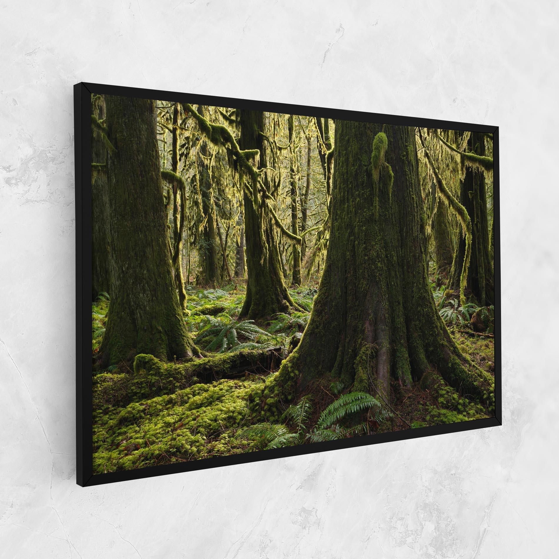 Leinwandbild Green Moss Forest mockup 1