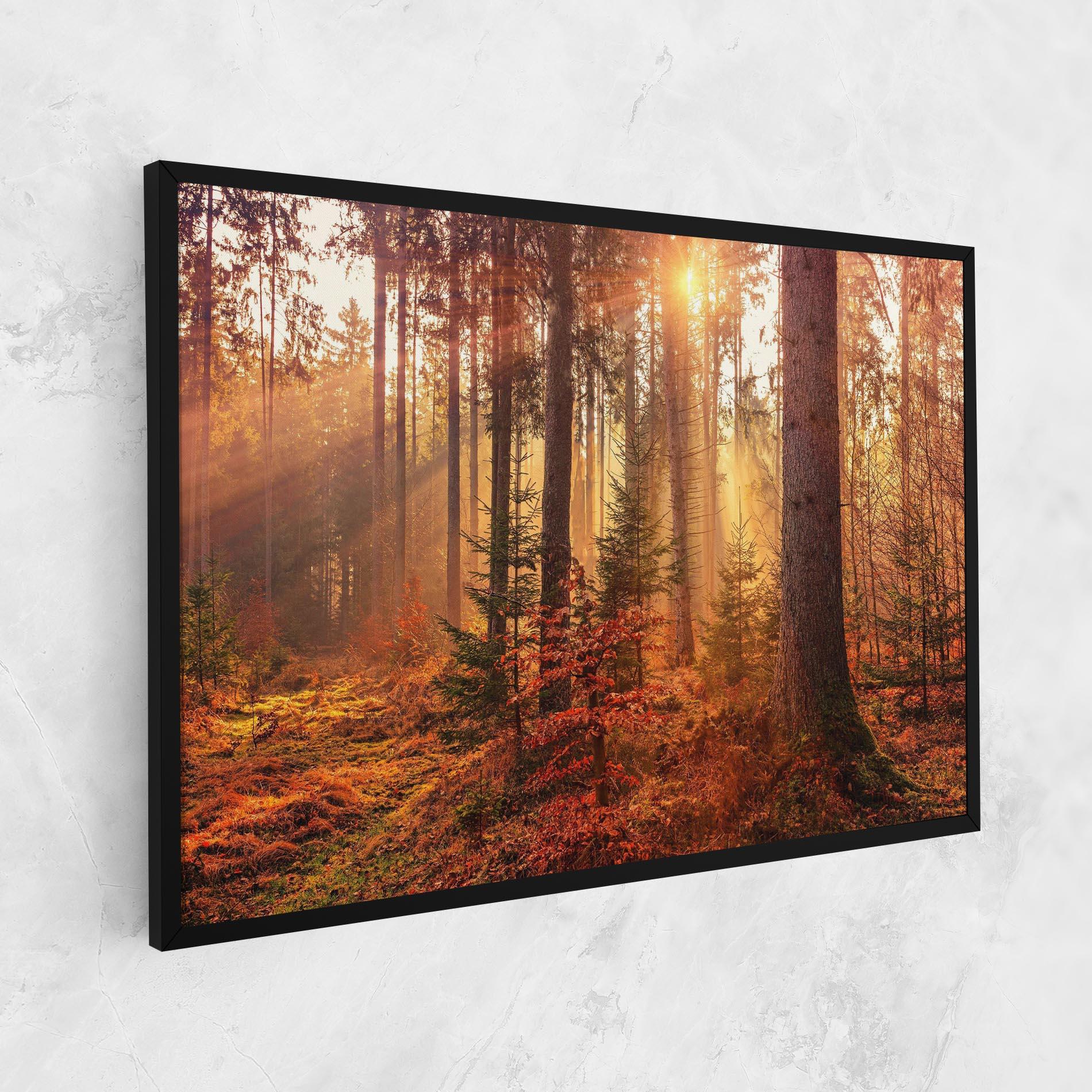 Leinwandbild Orange Light Forest mockup 1