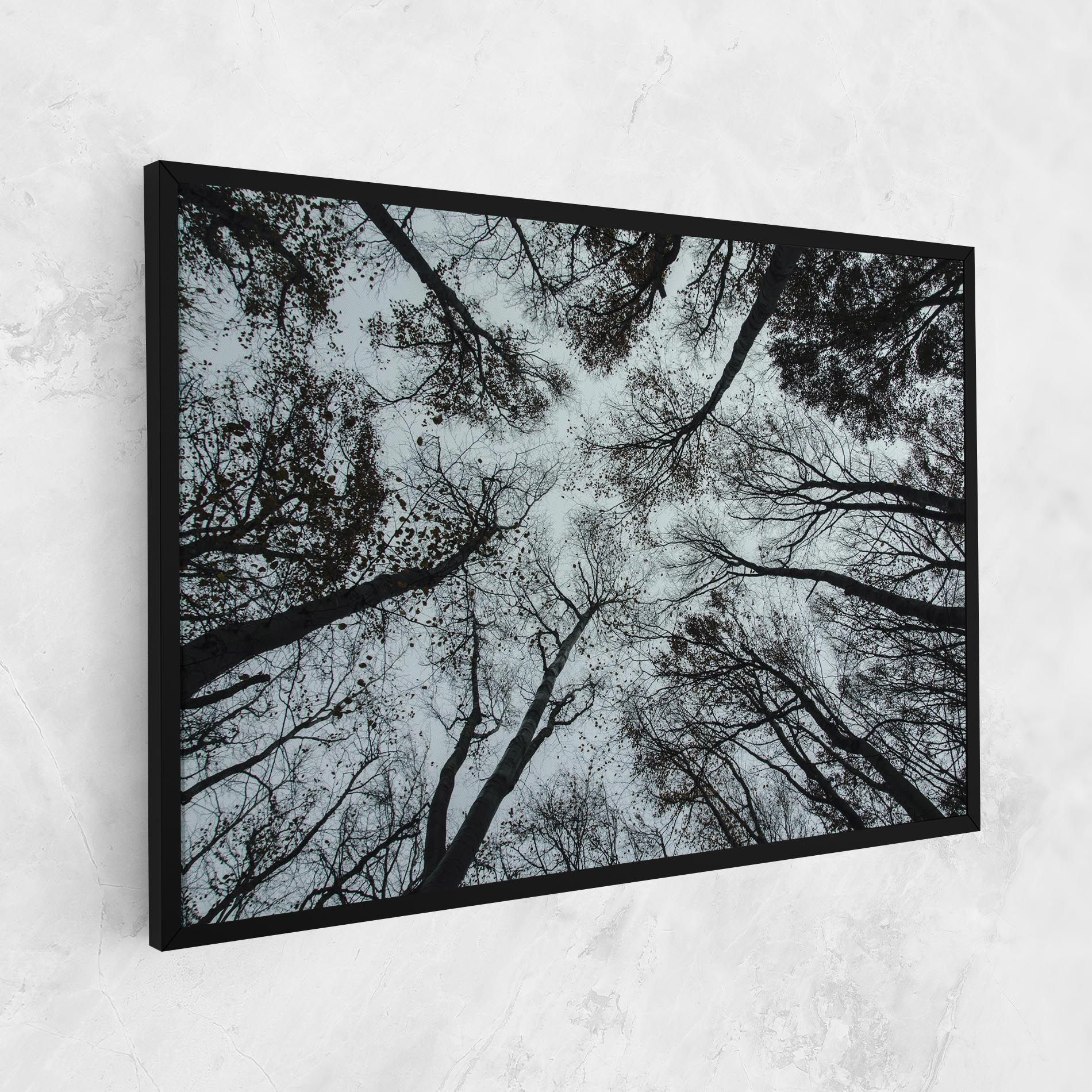Trees Touching mockup 1