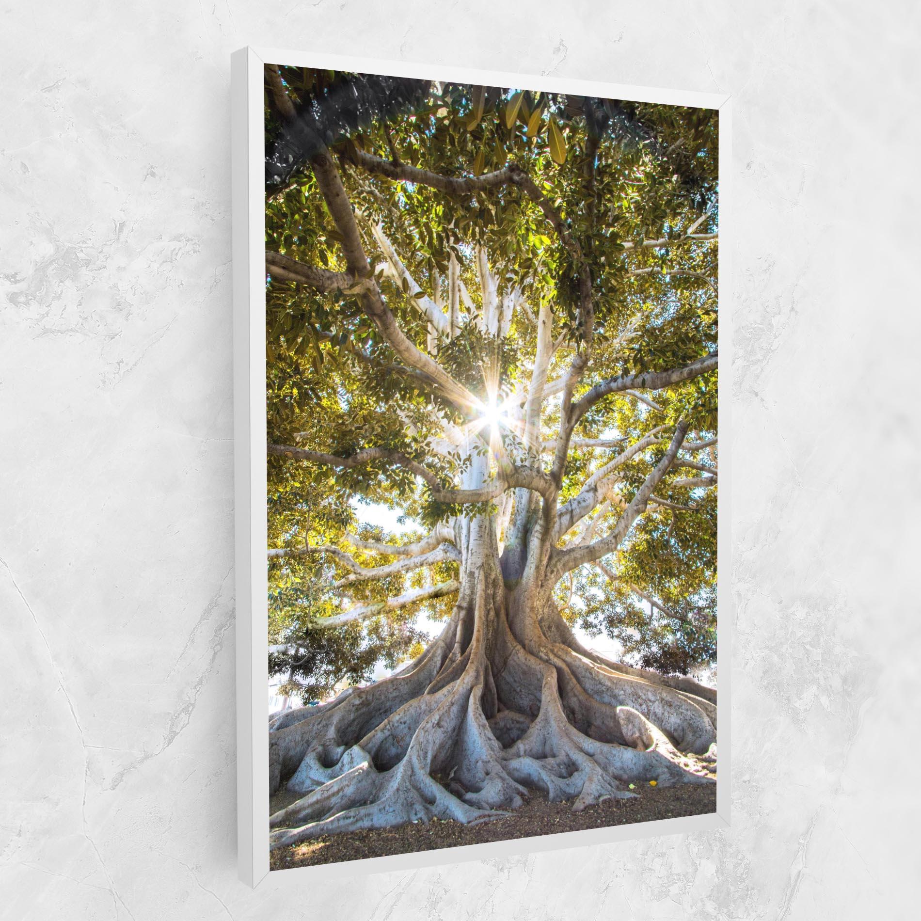 Leinwandbild Big Old Tree mockup 1