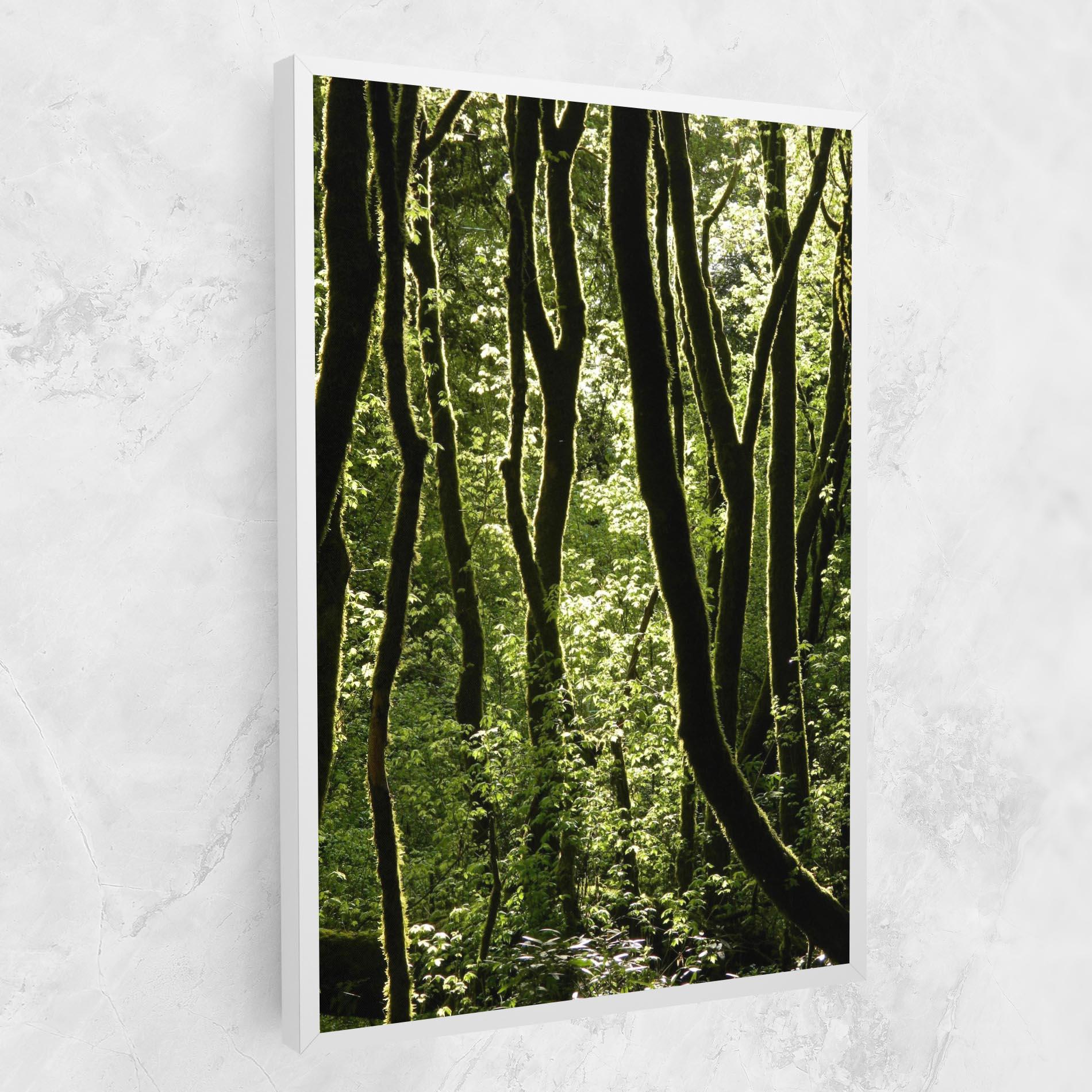 Leinwandbild Forest Black Trees mockup 1