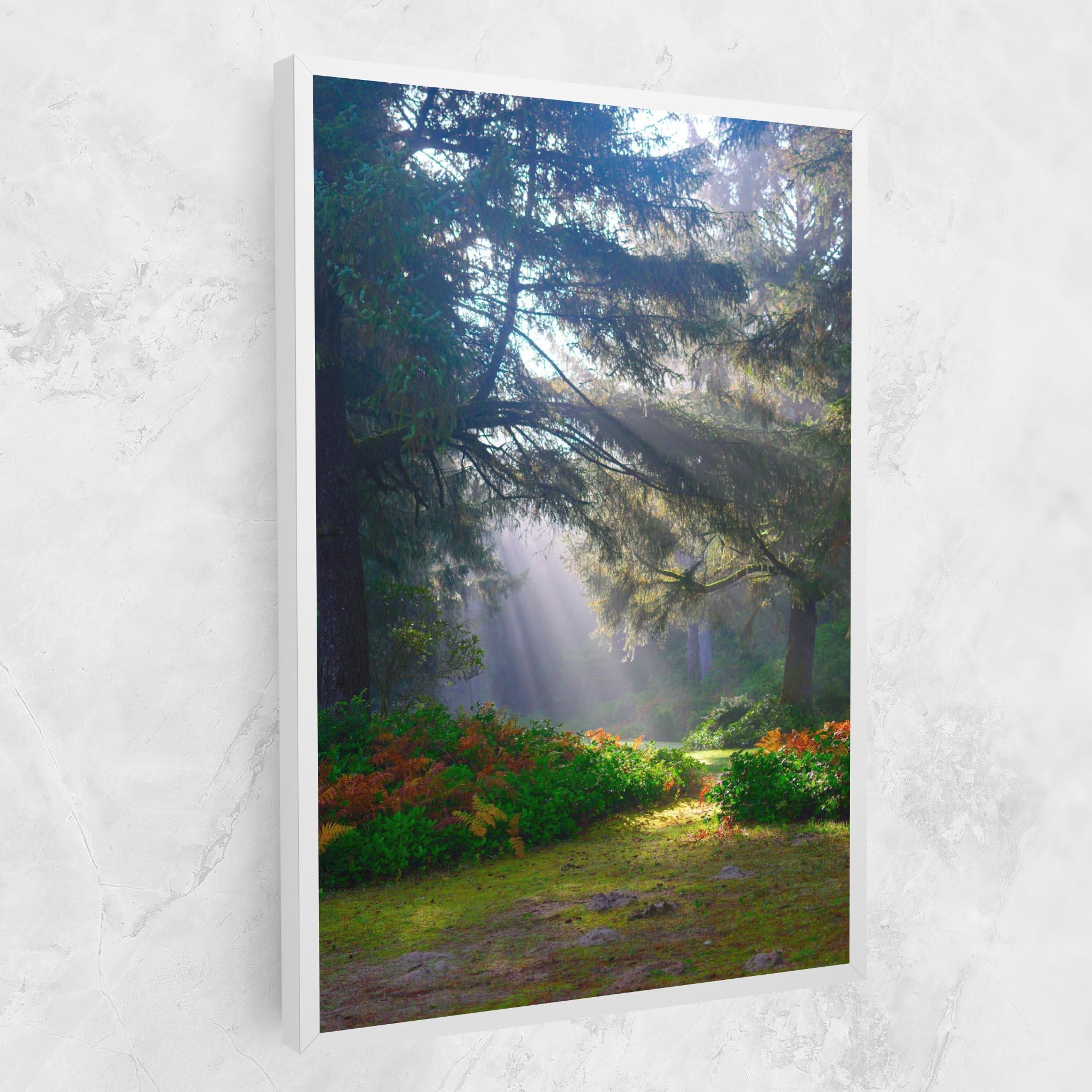 Leinwandbild Forest Light mockup 1