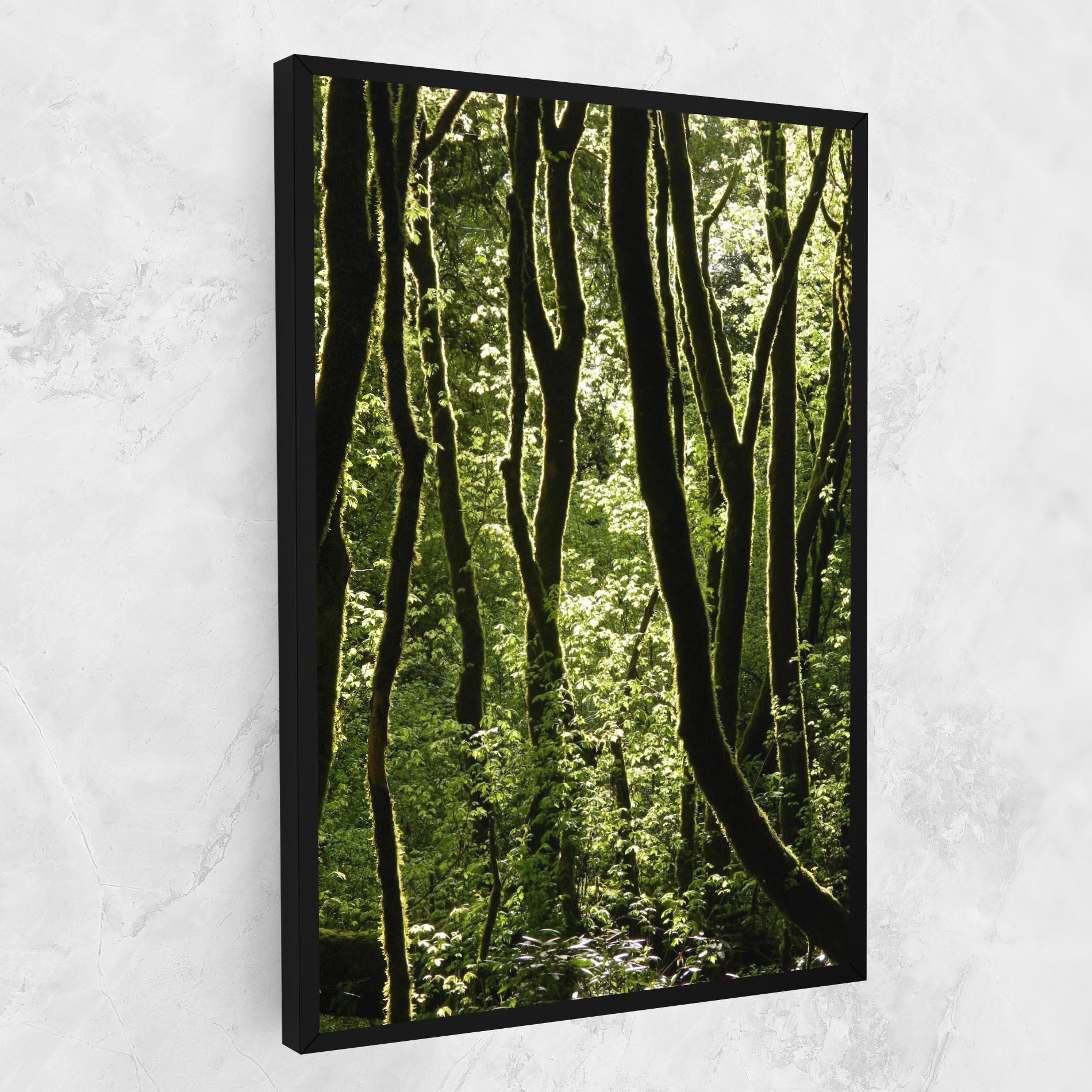 Leinwandbild Forest Black Trees mockup 1