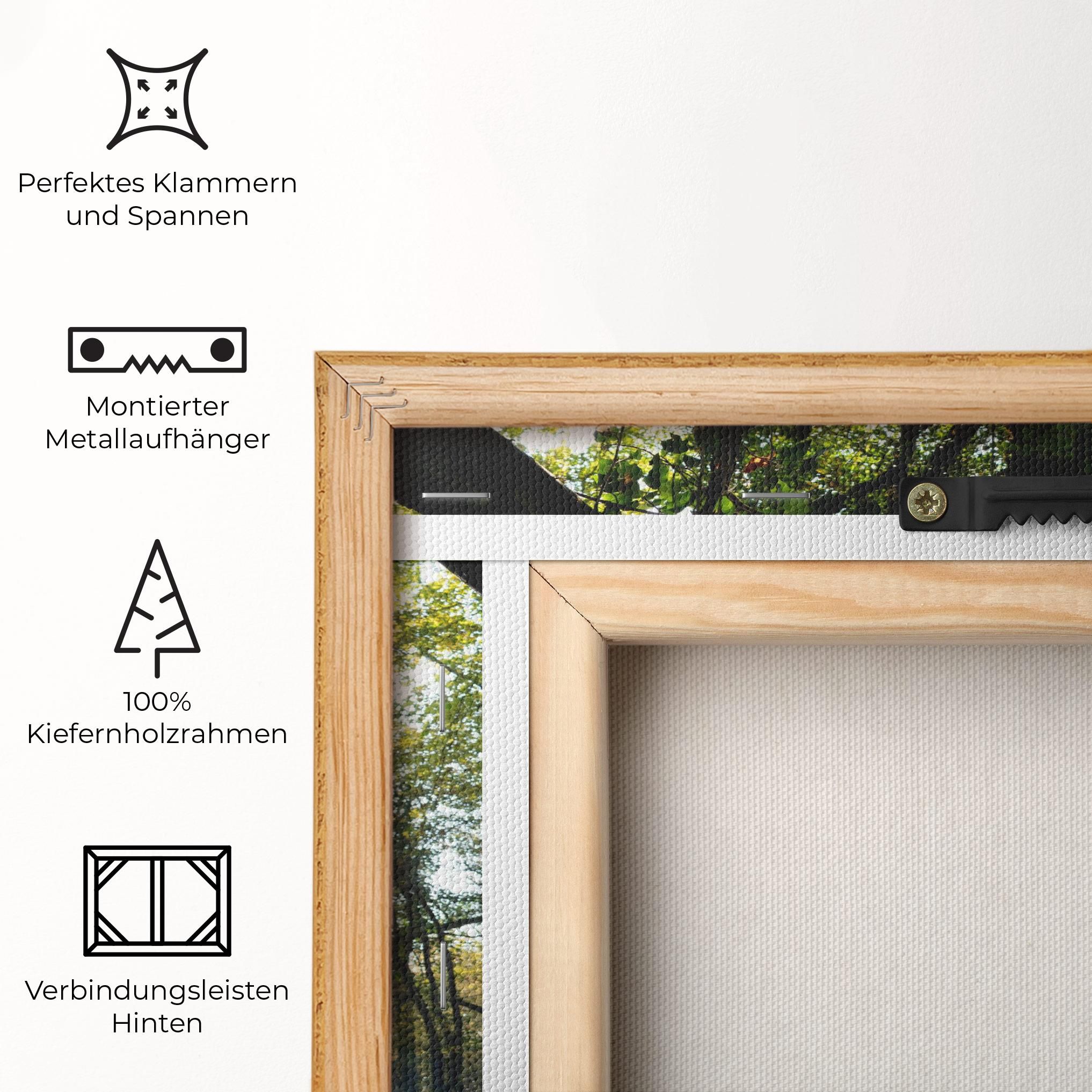 Foggy Light Forest mockup 5