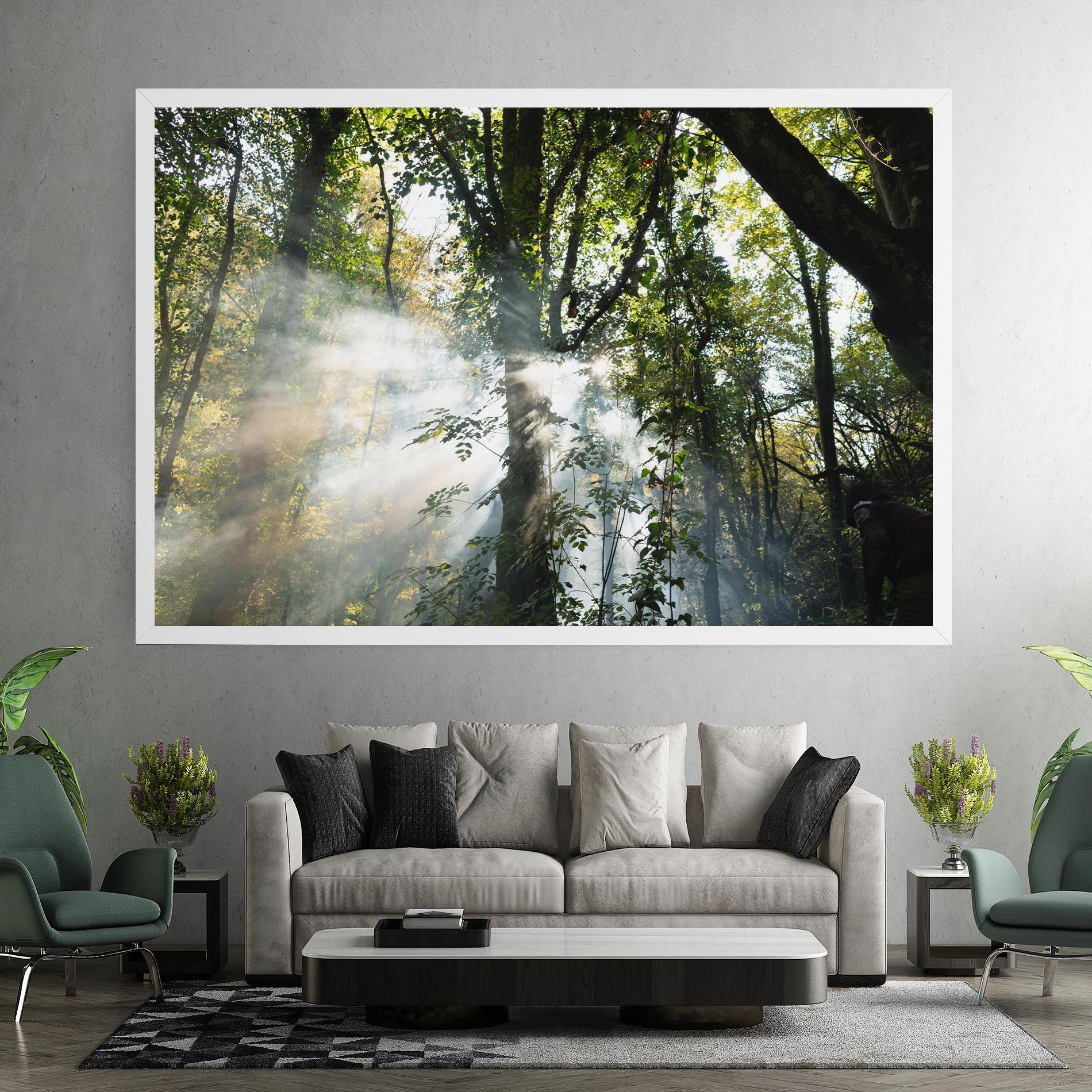 Foggy Light Forest mockup 7