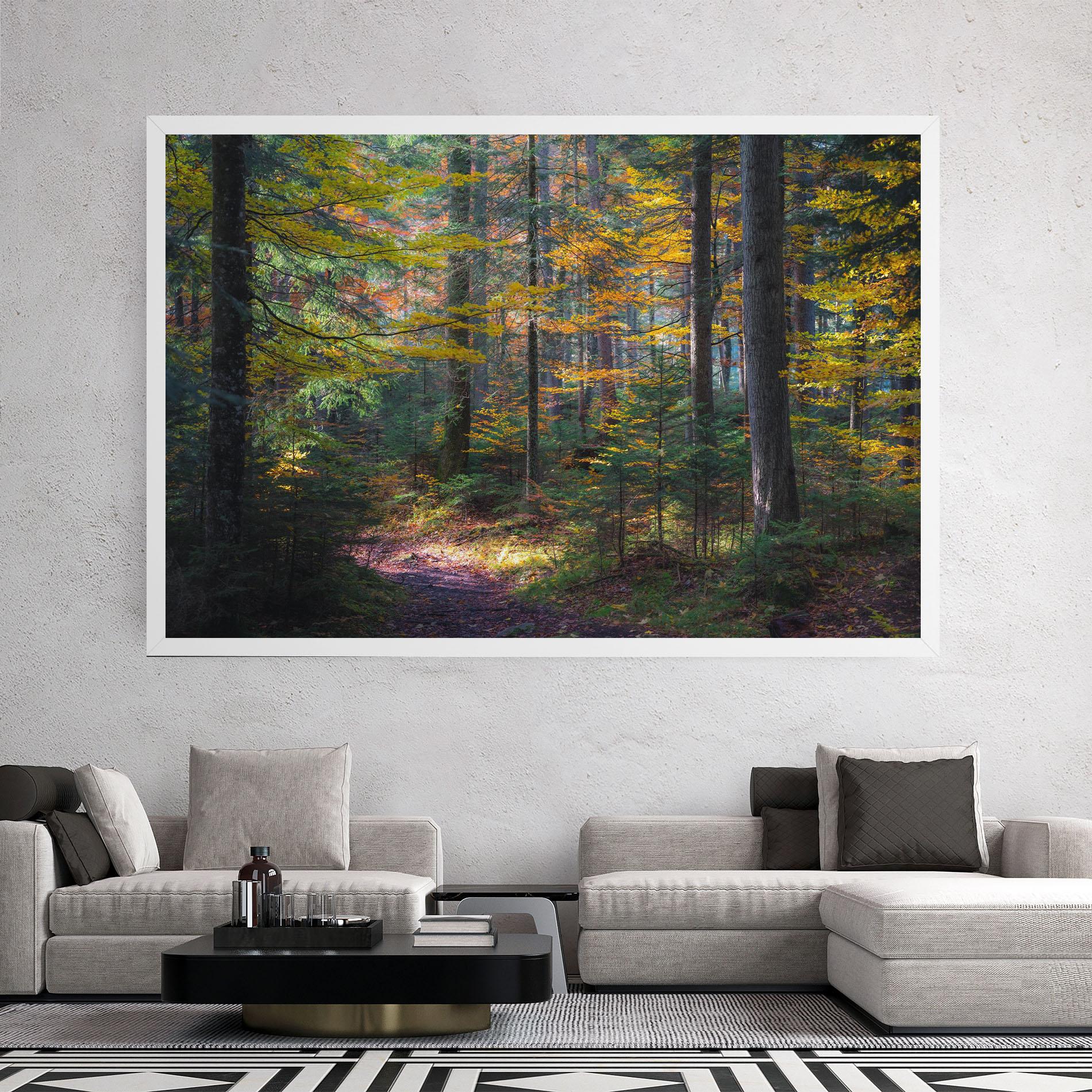 Leinwandbild Dreamy Path Dorest mockup 2