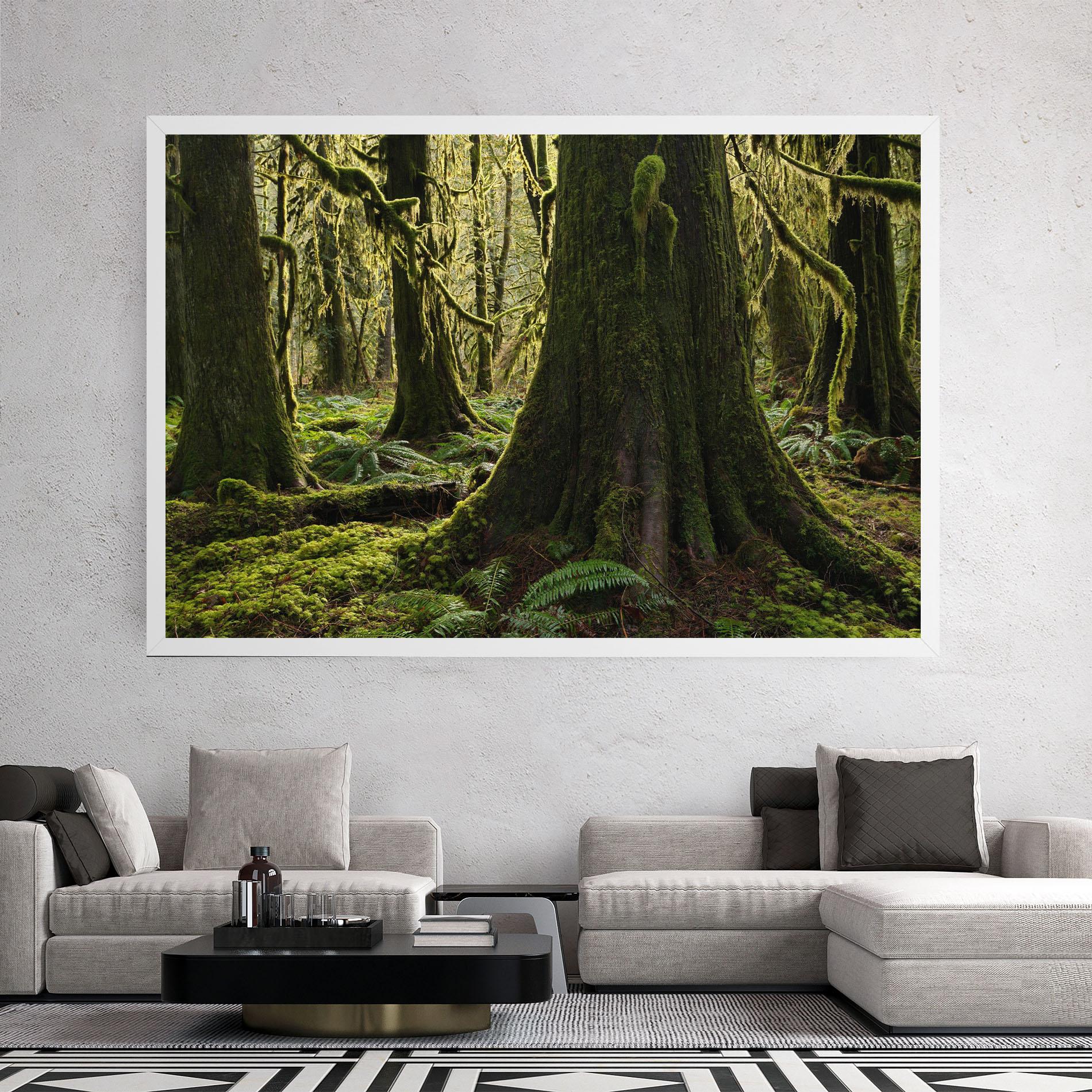 Leinwandbild Green Moss Forest mockup 2