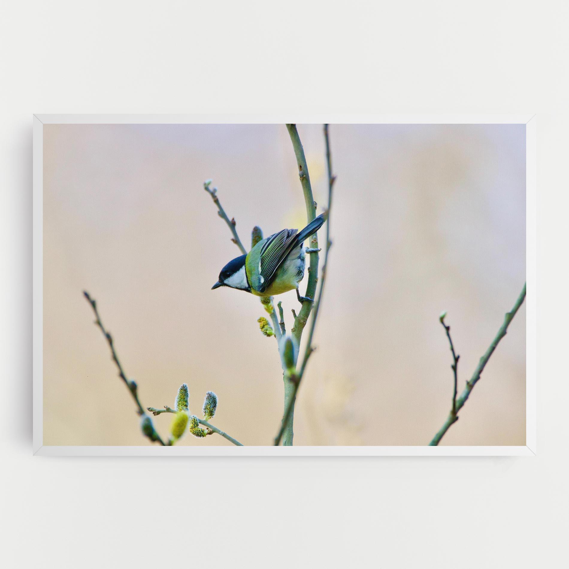 Leinwandbild Beautiful Spring Bird mockup 0