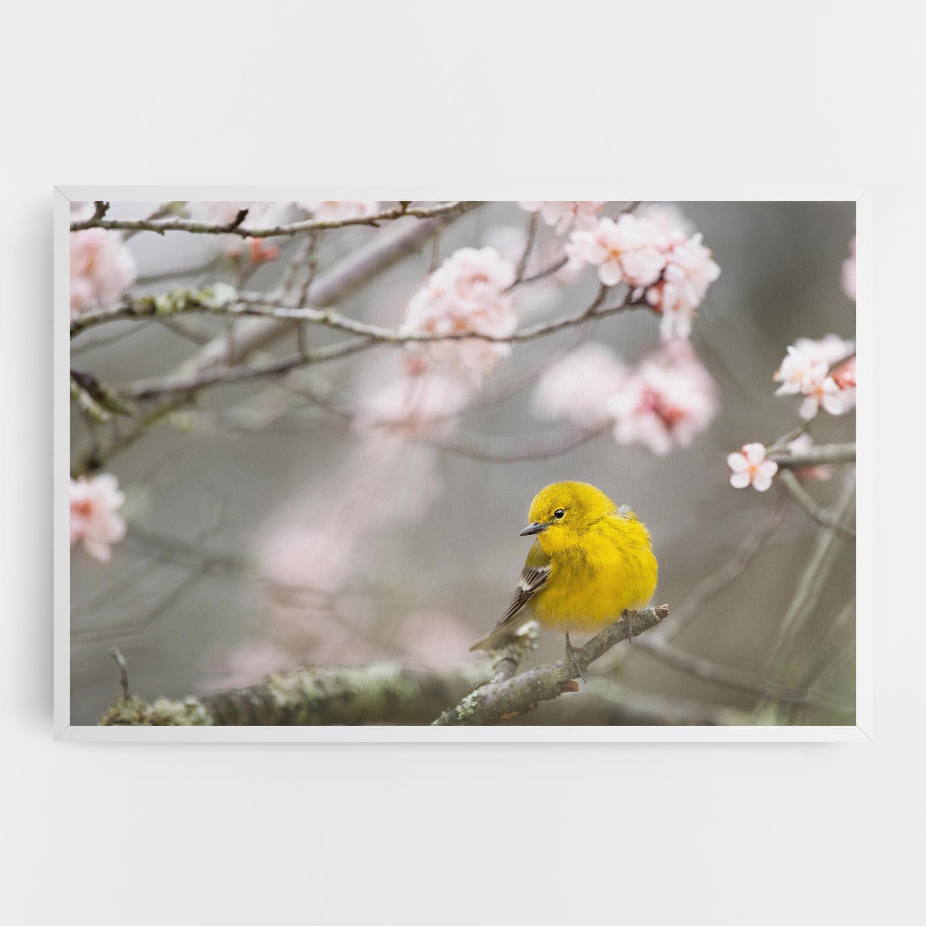 Leinwandbild Pretty Spring Yellow Bird mockup 0