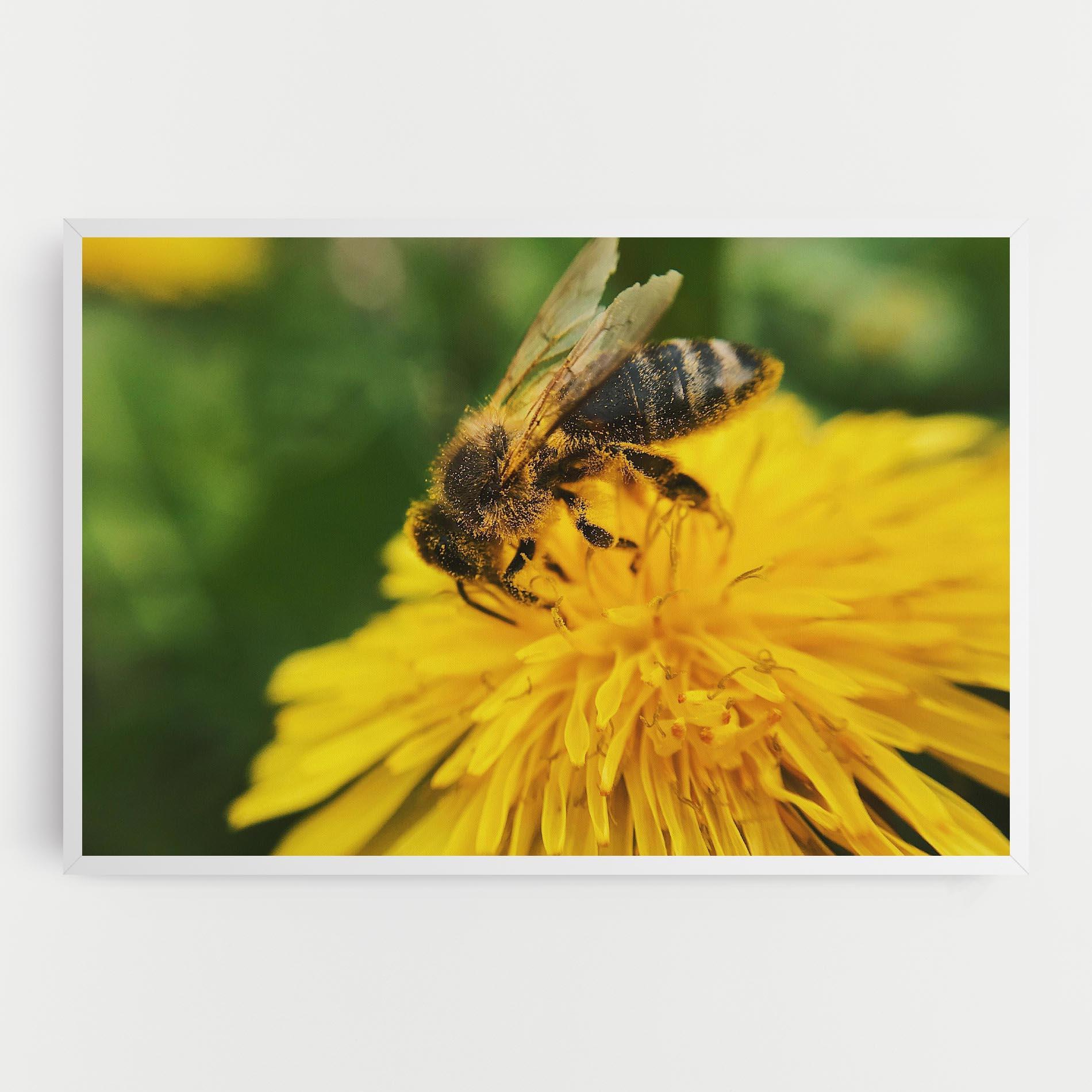 Leinwandbild Spring Bee mockup 0