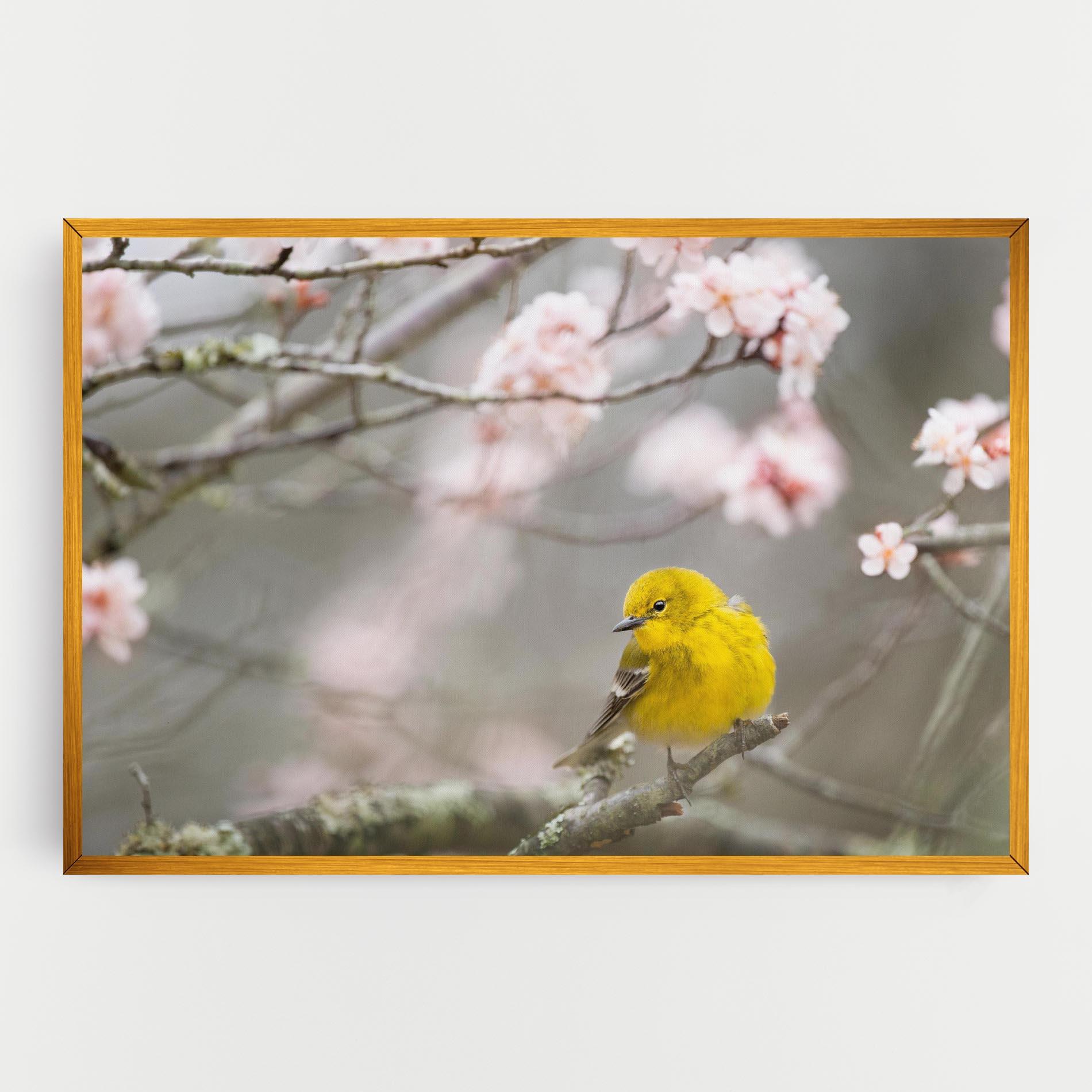 Leinwandbild Pretty Spring Yellow Bird mockup 0