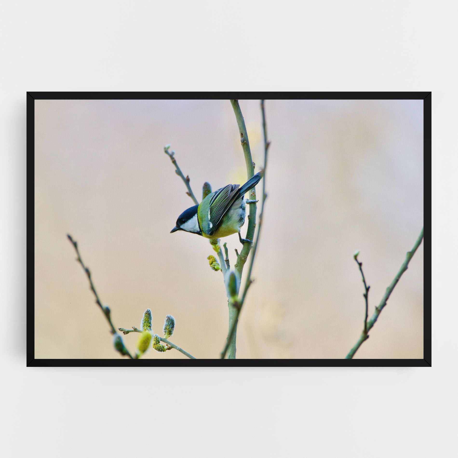 Beautiful Spring Bird mockup 0