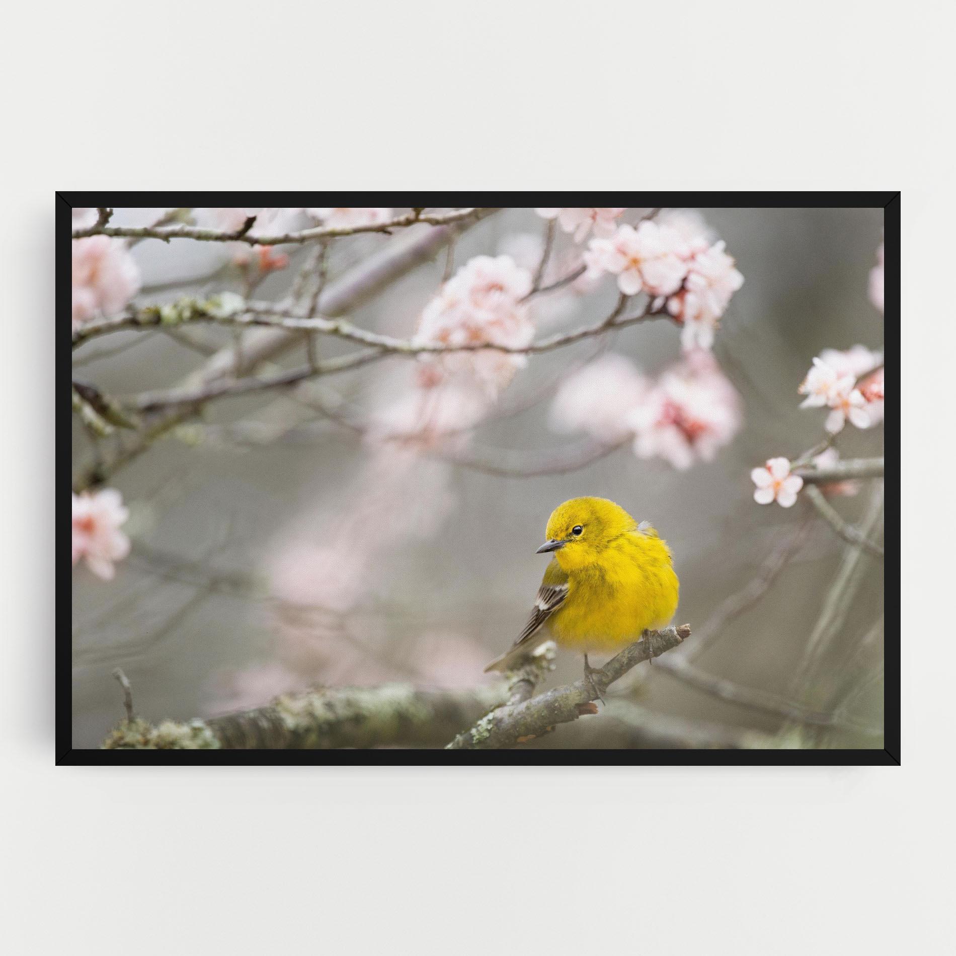 Leinwandbild Pretty Spring Yellow Bird mockup 0