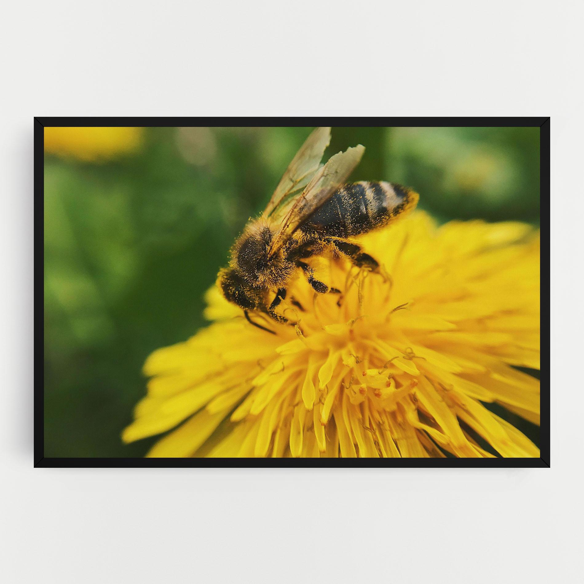 Leinwandbild Spring Bee mockup 0