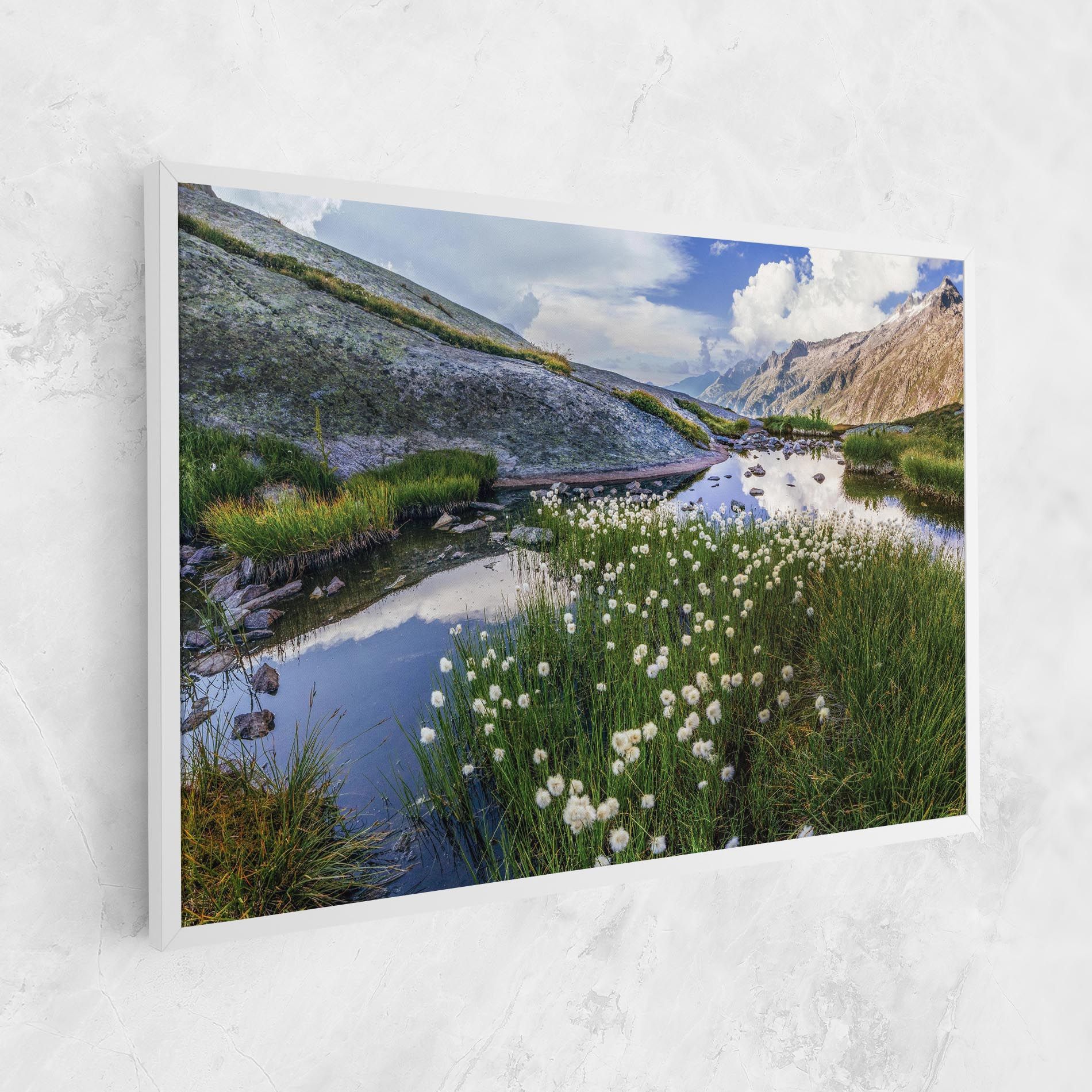 Lake Spring View mockup 1