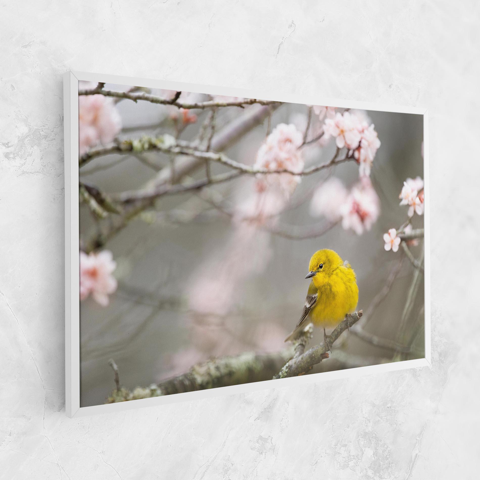 Leinwandbild Pretty Spring Yellow Bird mockup 1
