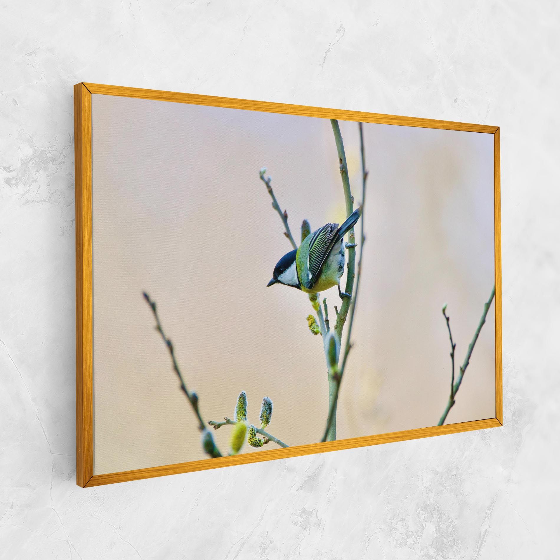 Beautiful Spring Bird mockup 1