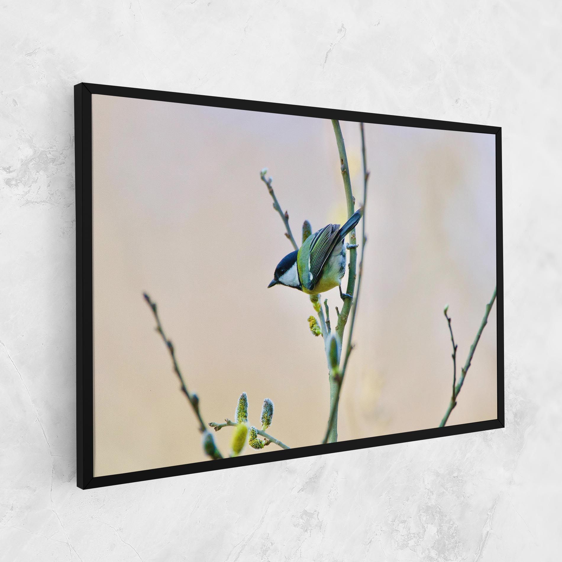 Beautiful Spring Bird mockup 1