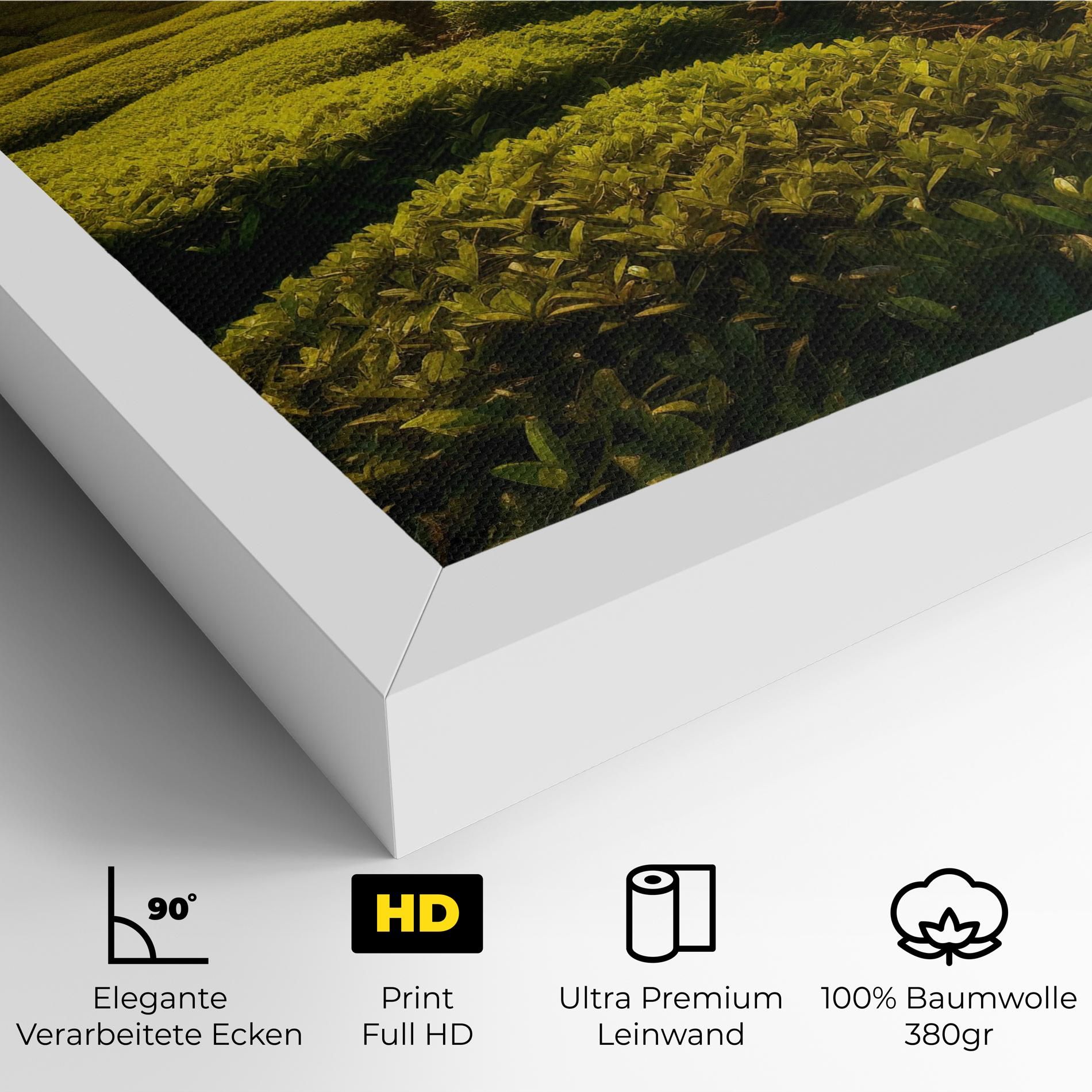 Tea Fields mockup 4