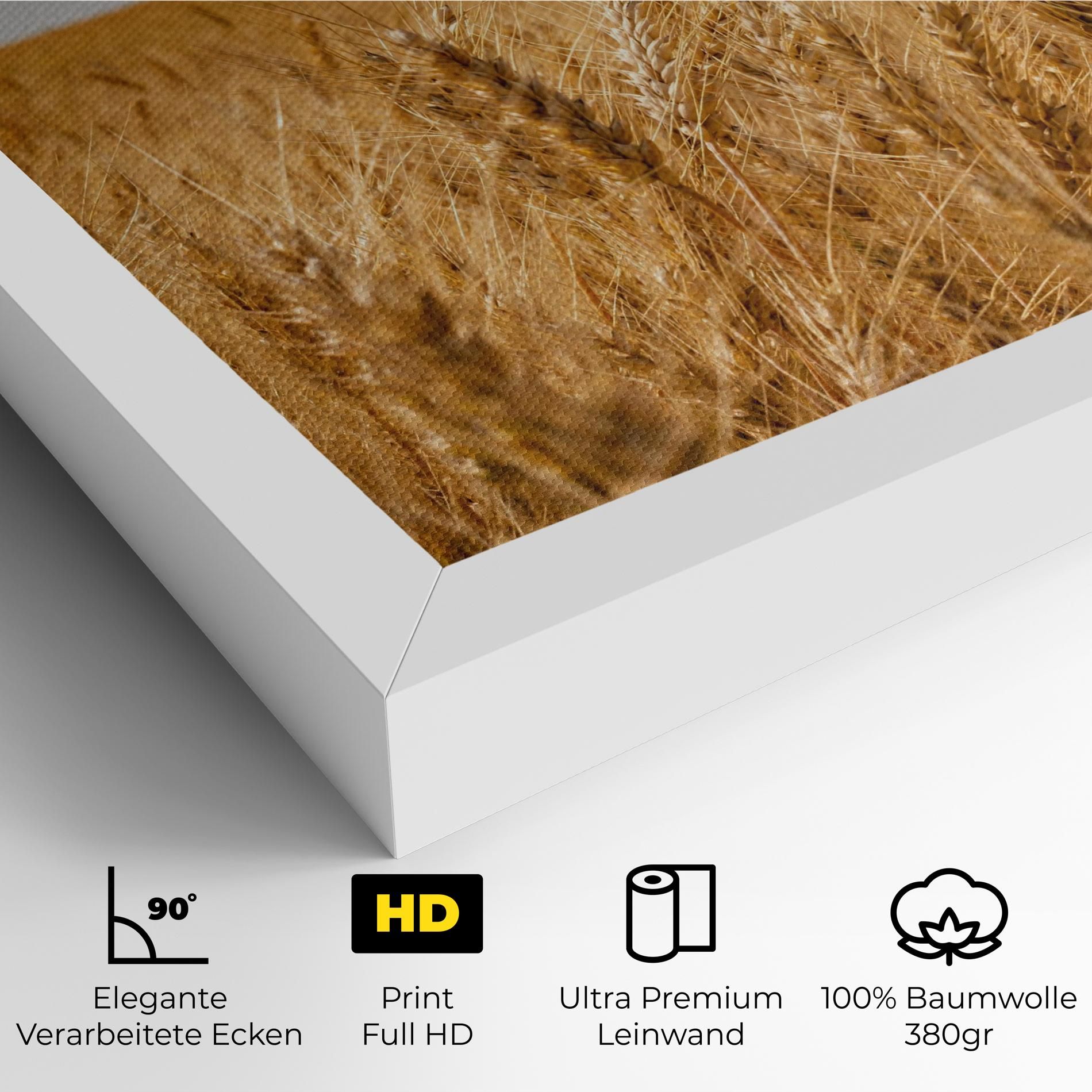 Wheat Land View mockup 4