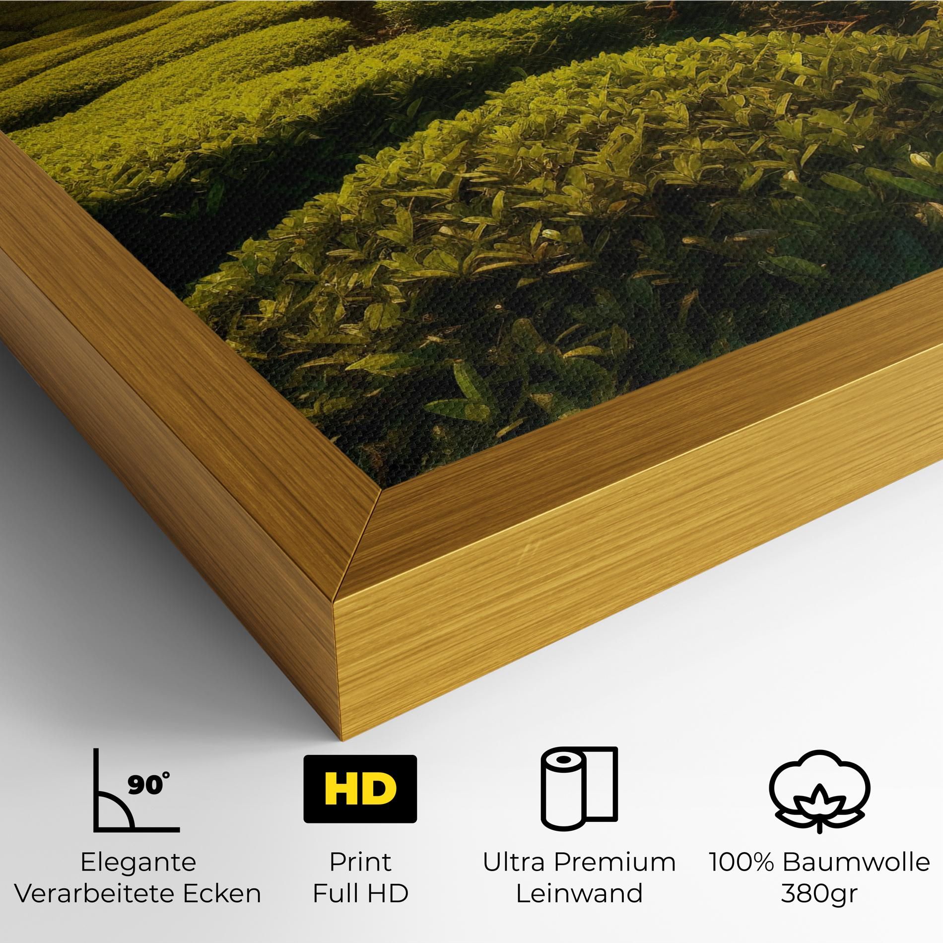 Tea Fields mockup 4