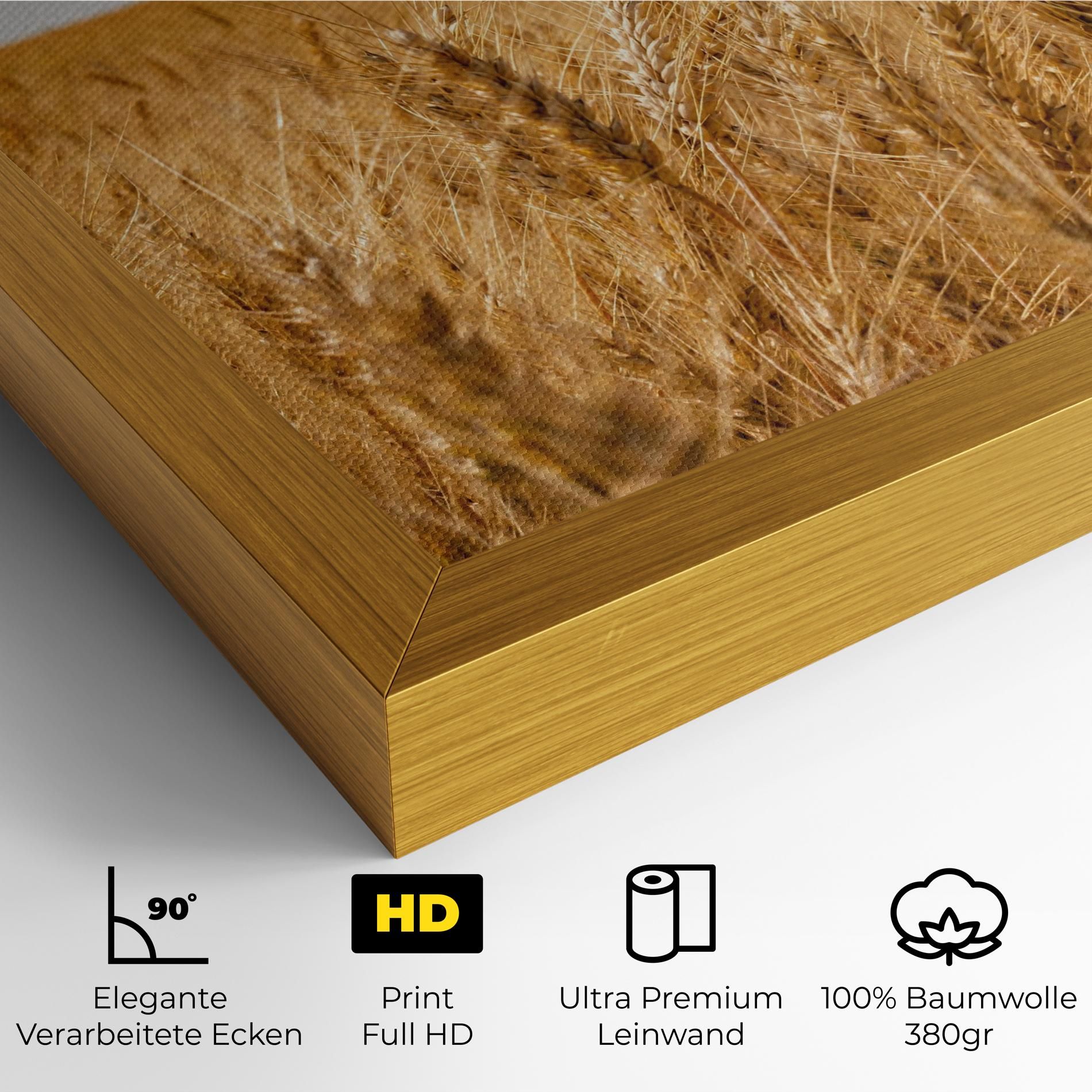 Wheat Land View mockup 4
