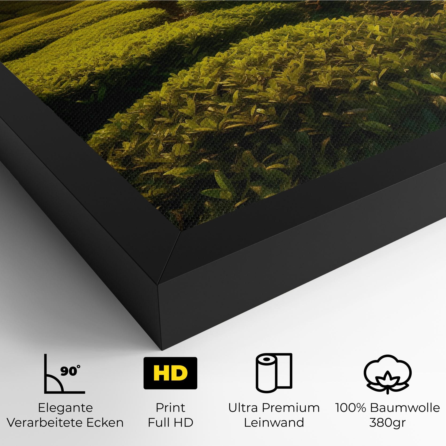 Tea Fields mockup 4