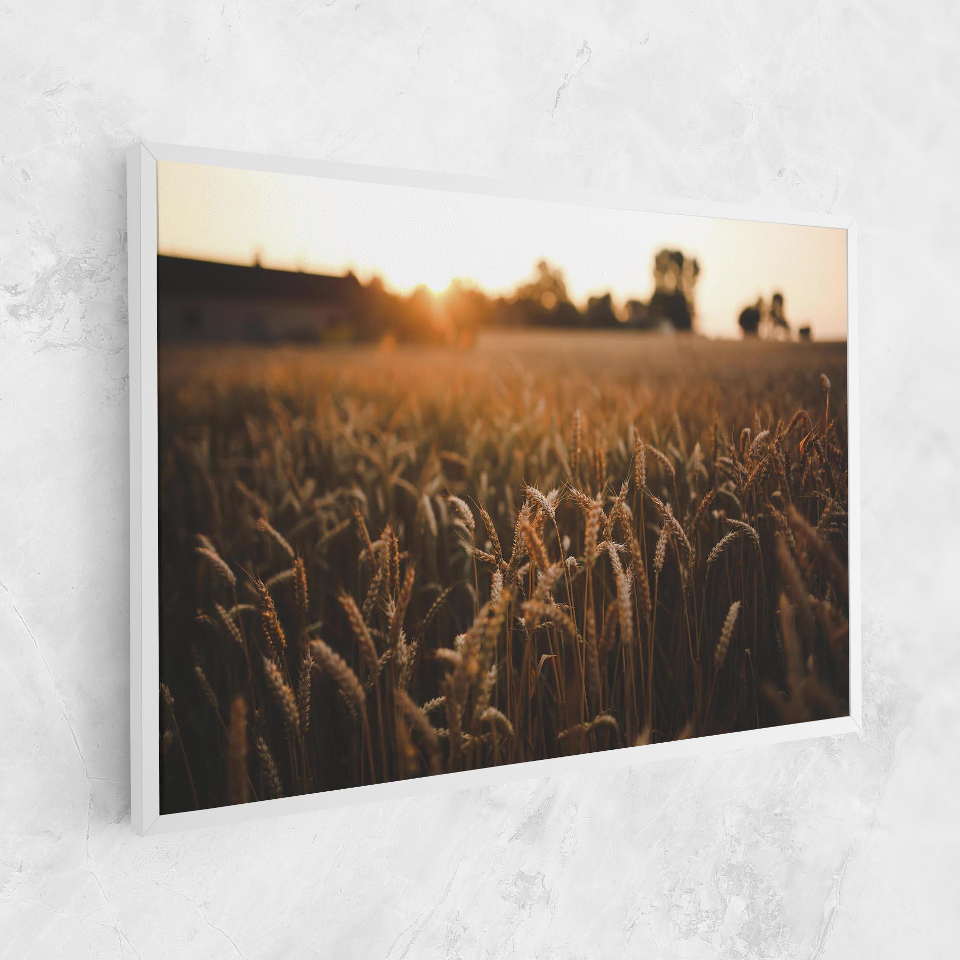 Leinwandbild Wheat Sunrise mockup 1