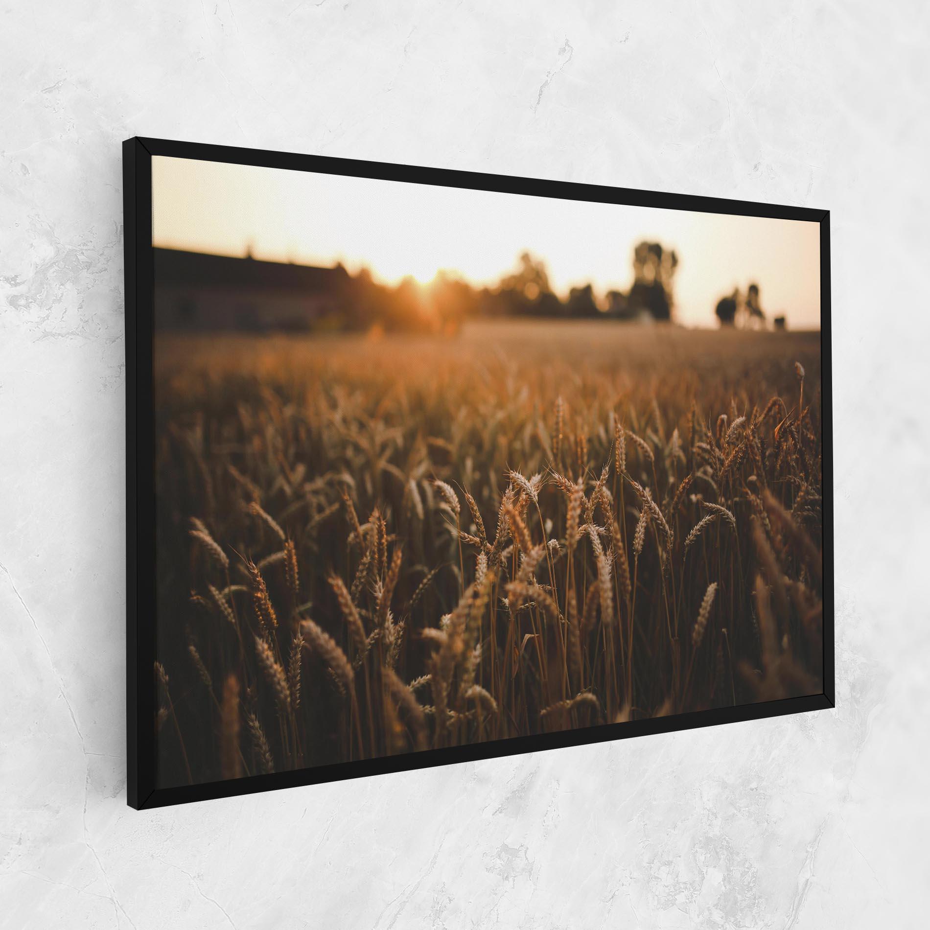 Leinwandbild Wheat Sunrise mockup 1