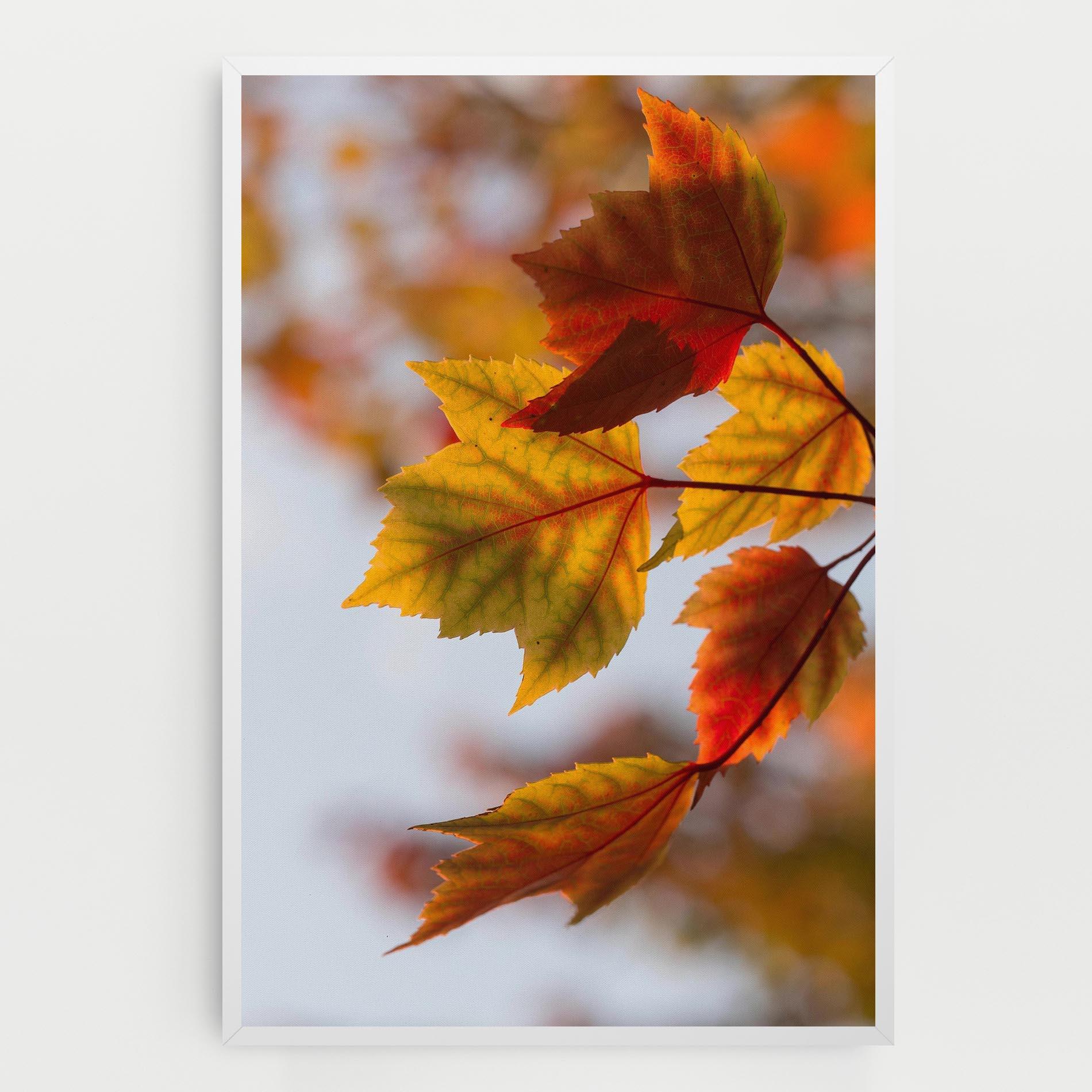 Leinwandbild Red Yellow Autumn mockup 0