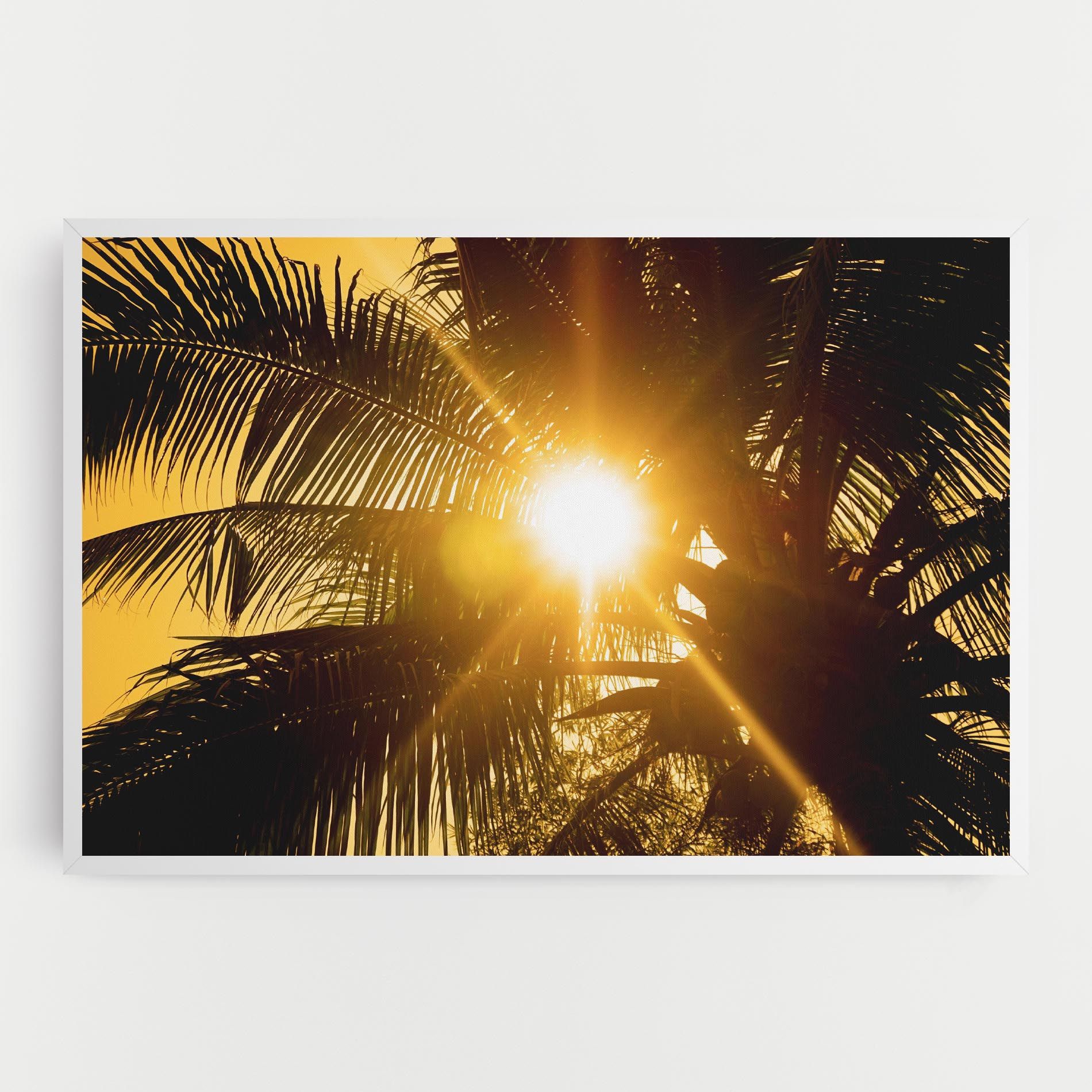 Palm Trees Sun mockup 0