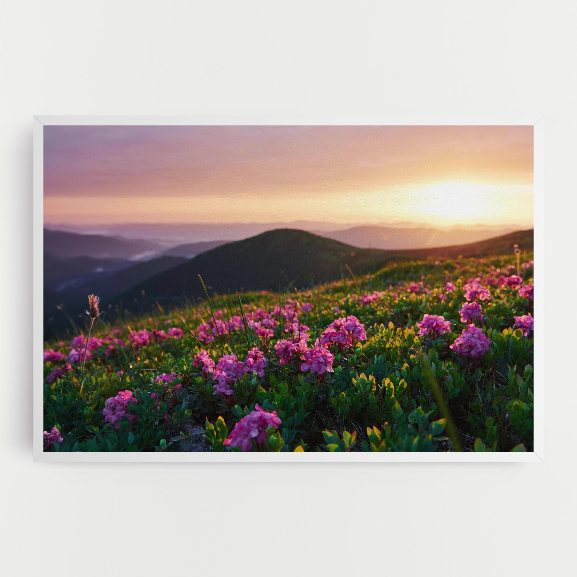 Leinwandbild Purple Summer Flowers mockup 0