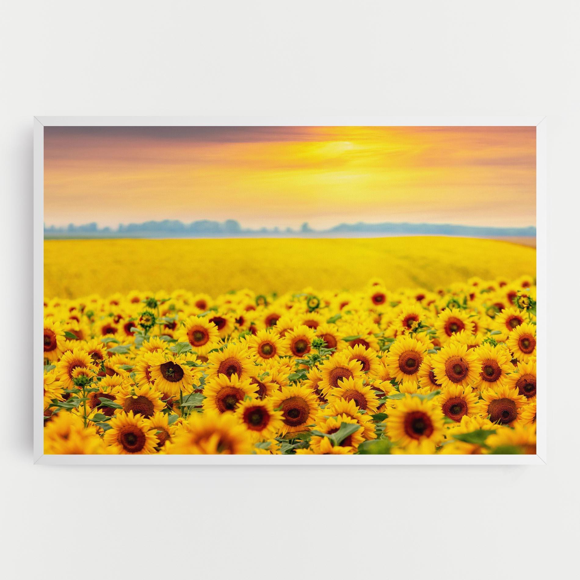 Leinwandbild Yellow Sunflowers mockup 0