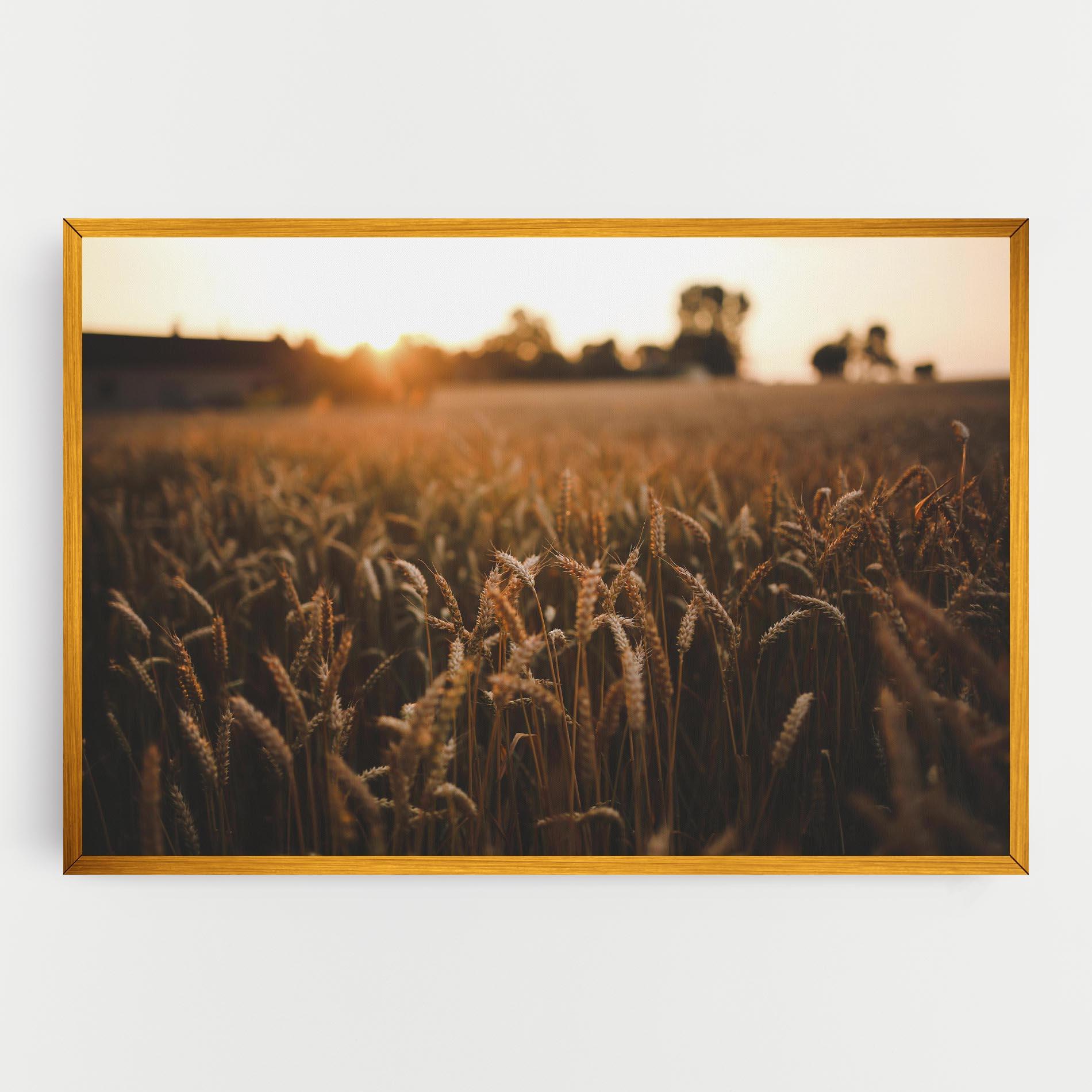 Leinwandbild Summer Field mockup 0