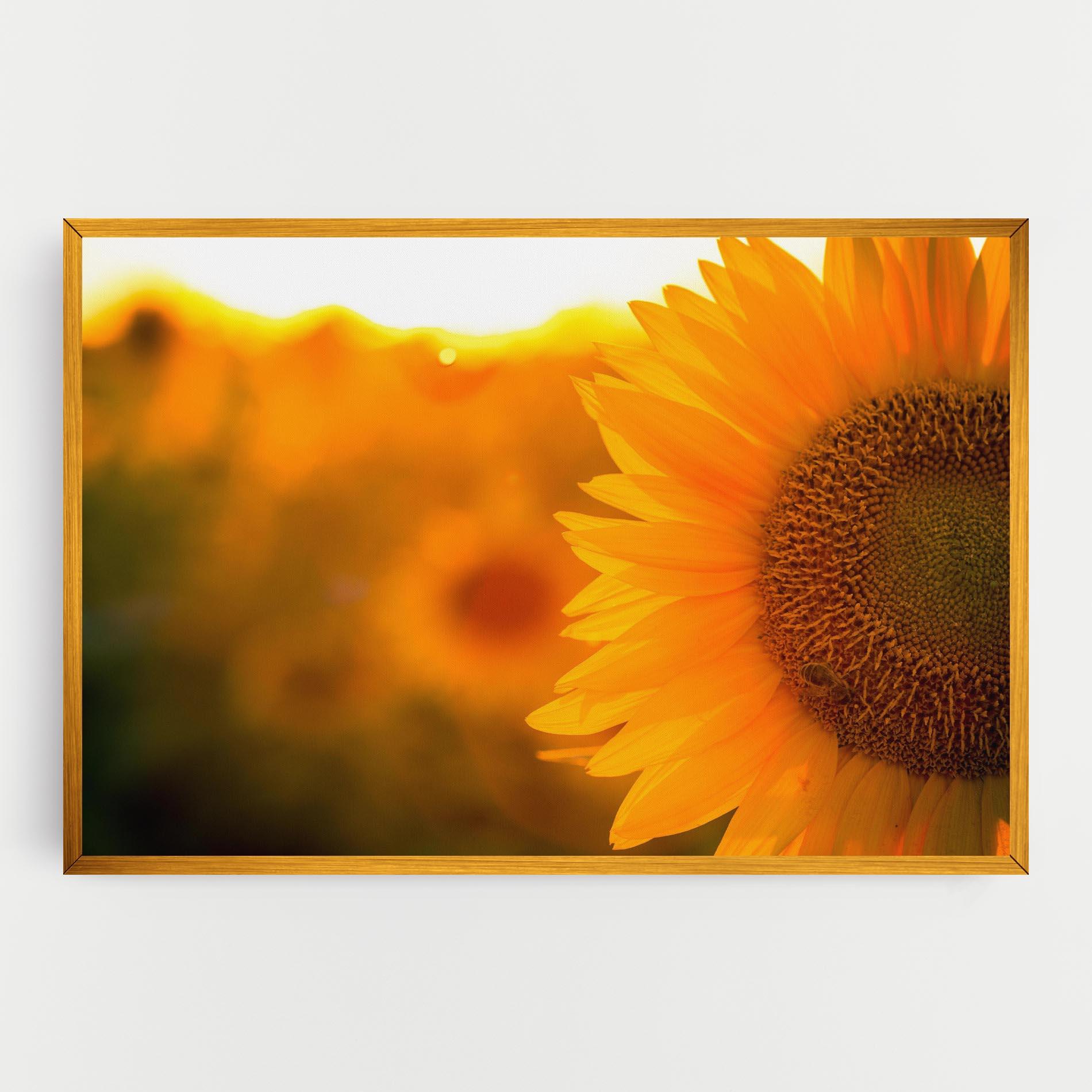 Leinwandbild Sunflower mockup 0