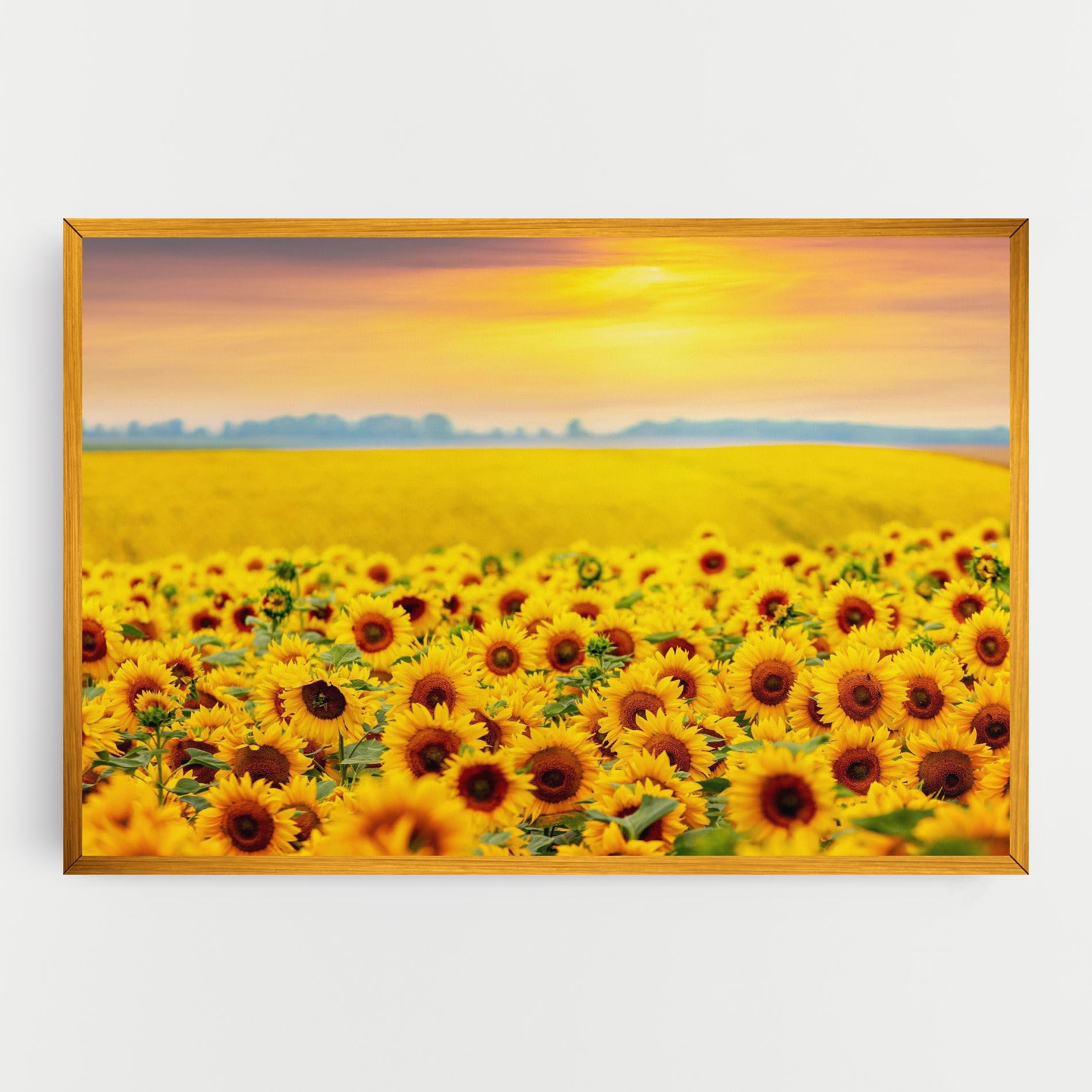 Leinwandbild Yellow Sunflowers mockup 0