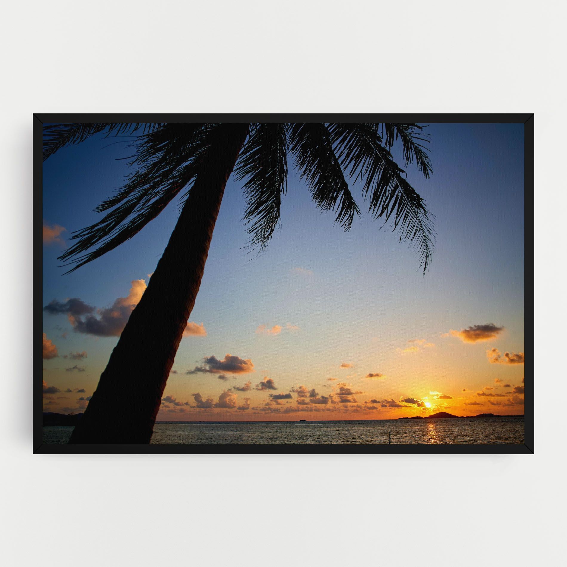 Palm Tree Silhouette mockup 0