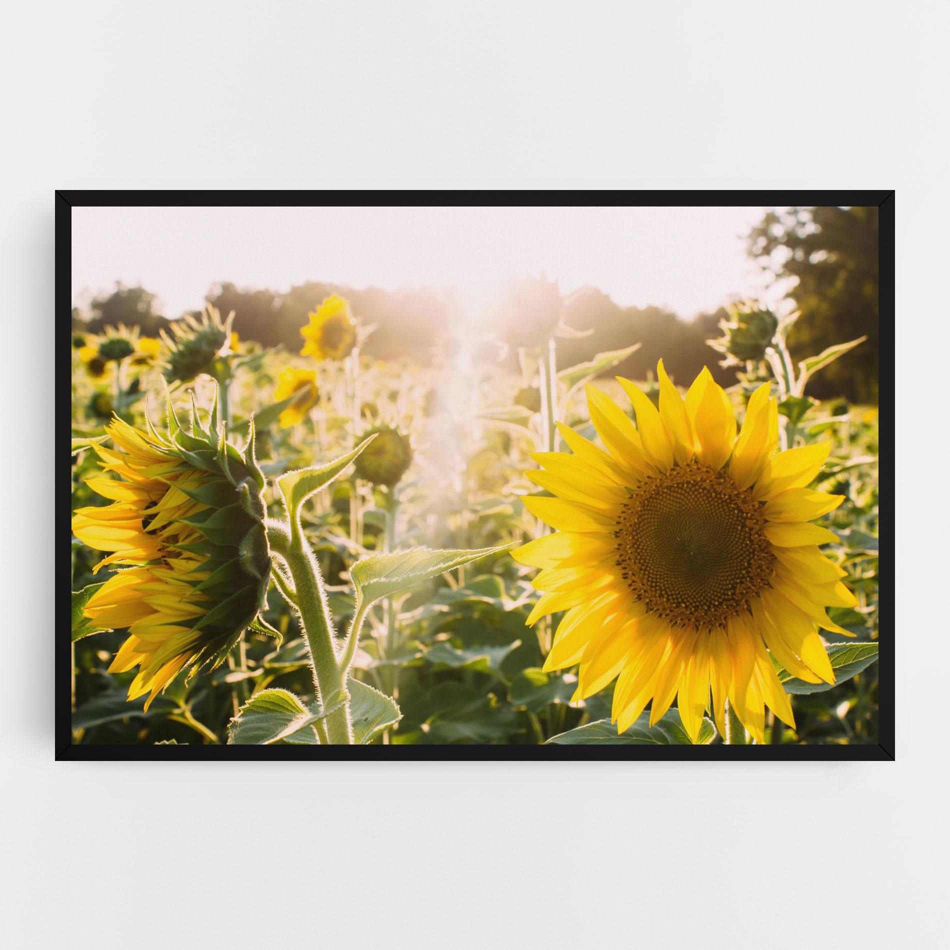 Leinwandbild Yellow Sun Flower mockup 0