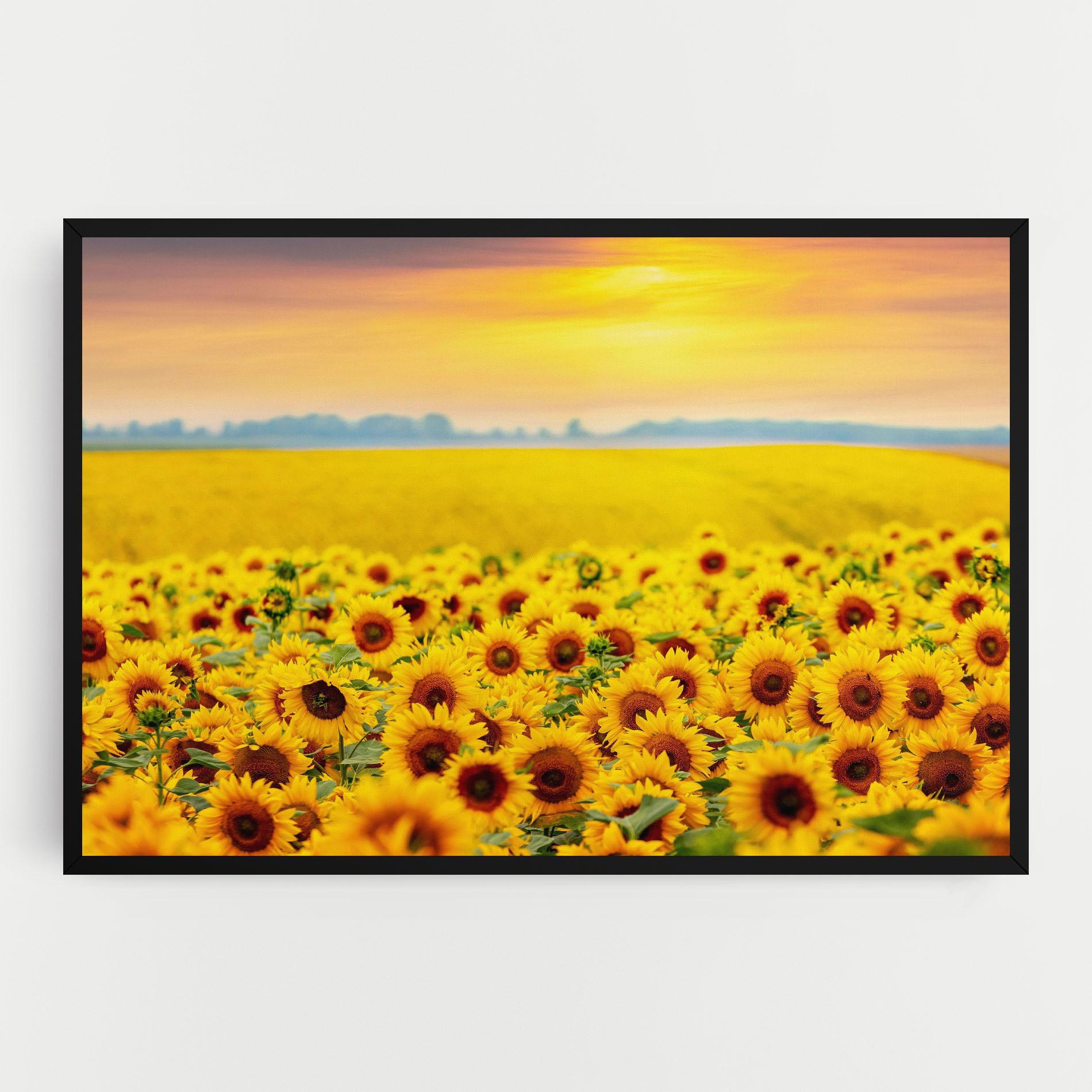 Leinwandbild Yellow Sunflowers mockup 0
