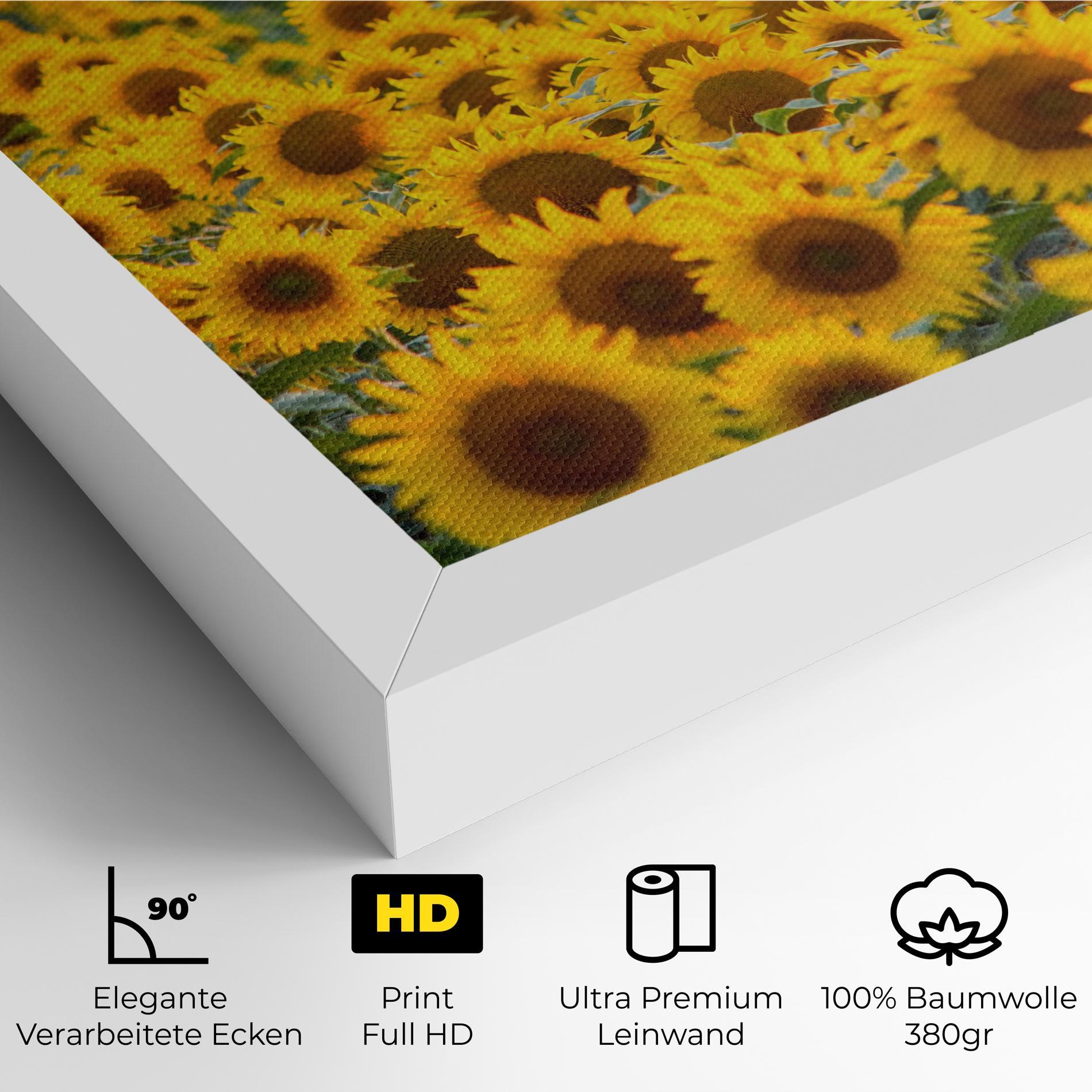 Leinwandbild Blooming Sunflowers mockup 4