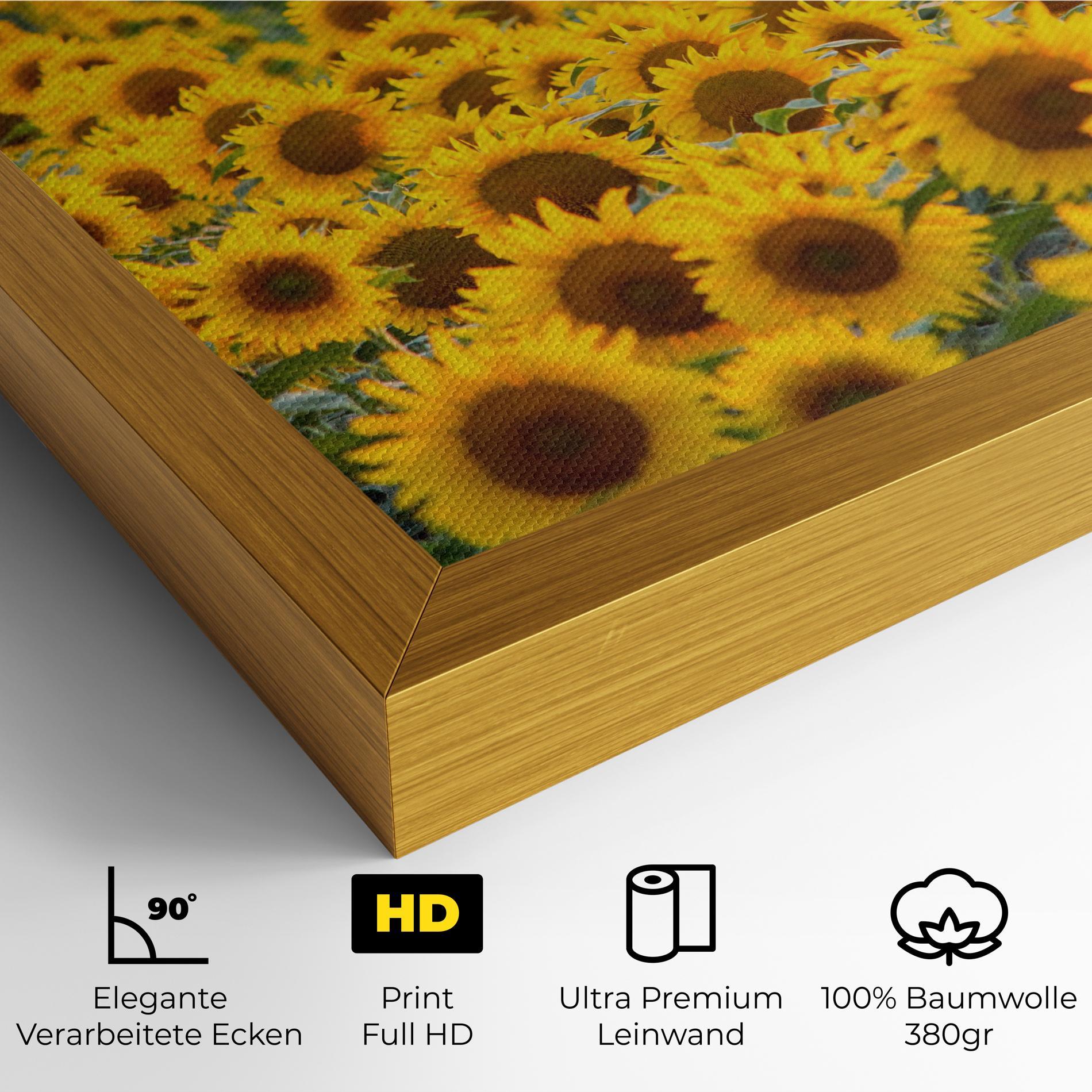 Leinwandbild Blooming Sunflowers mockup 4