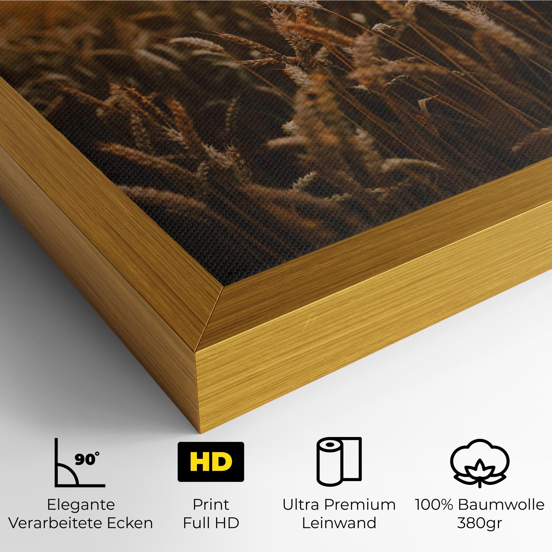 Summer Field mockup 4