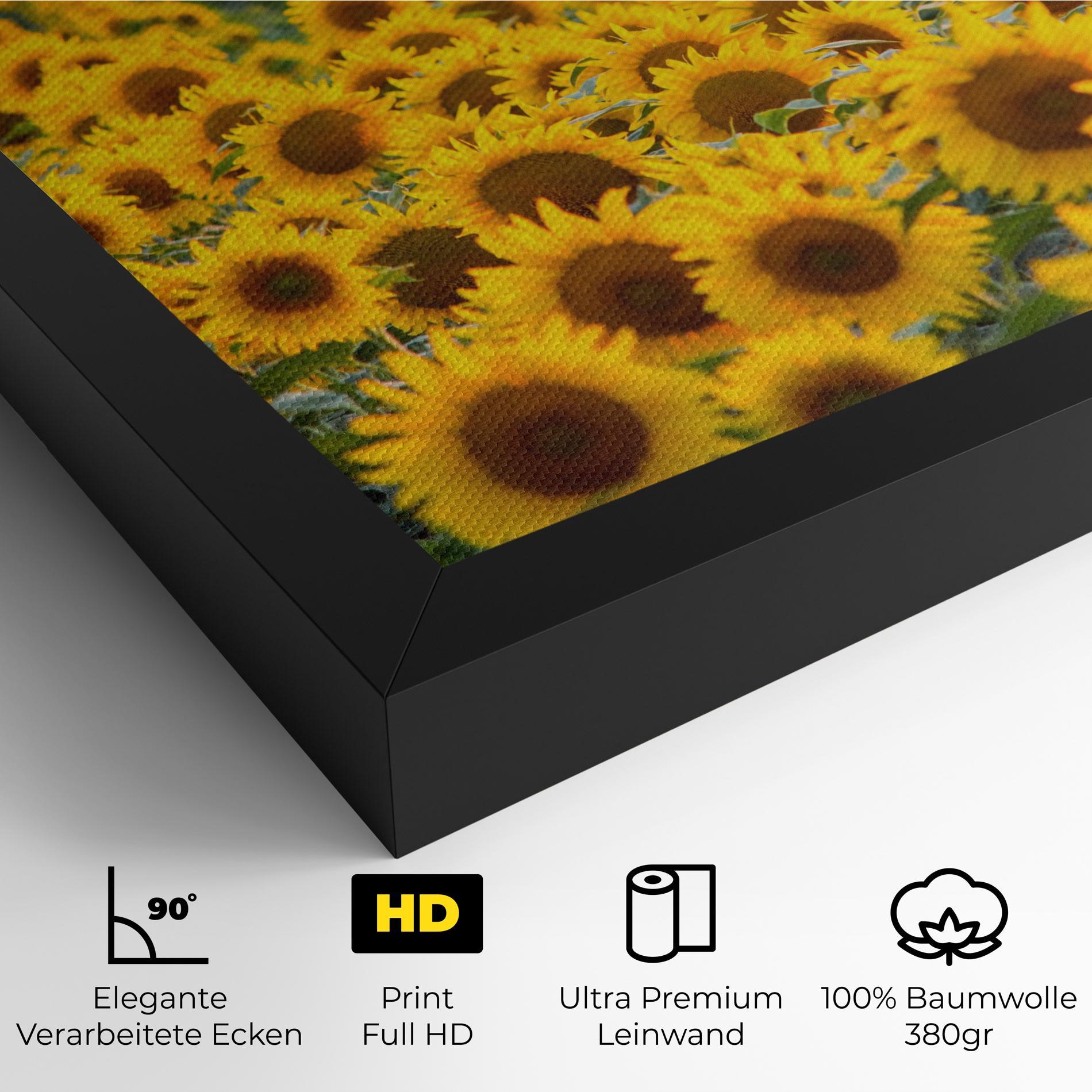 Leinwandbild Blooming Sunflowers mockup 4