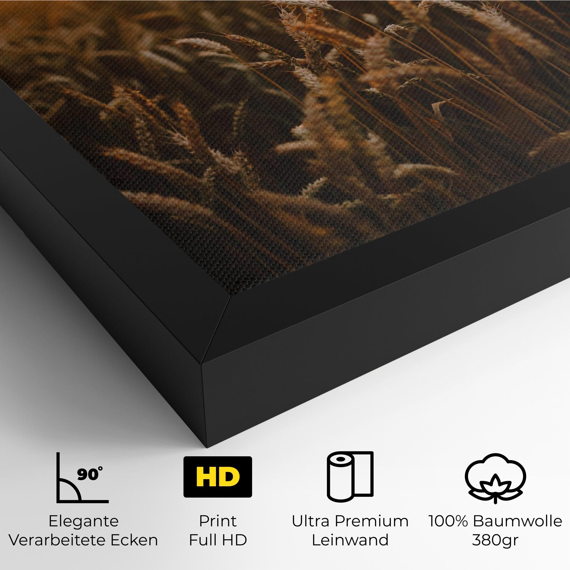 Summer Field mockup 4