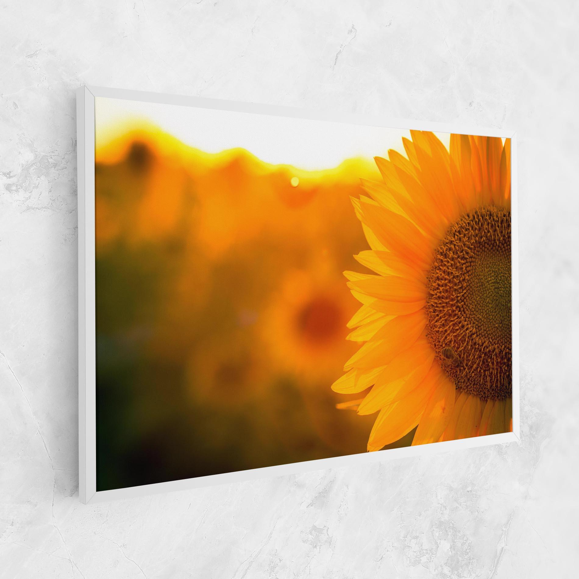 Leinwandbild Sunflower mockup 1