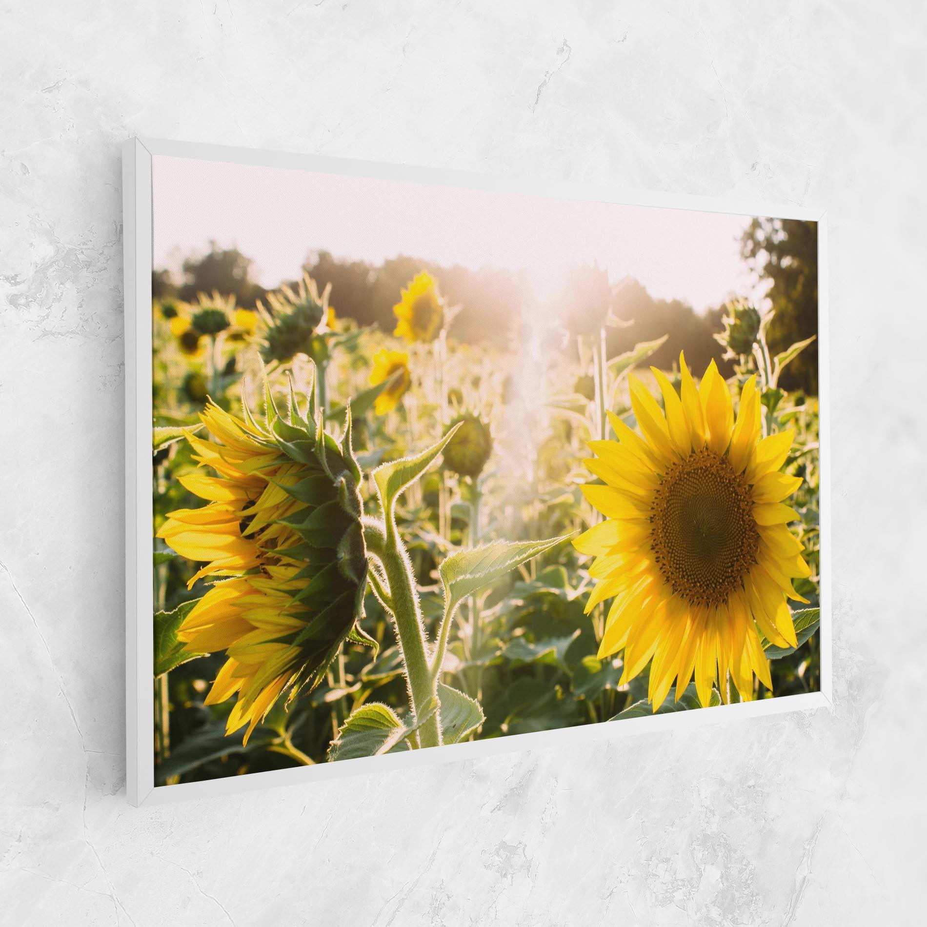 Leinwandbild Yellow Sun Flower mockup 1