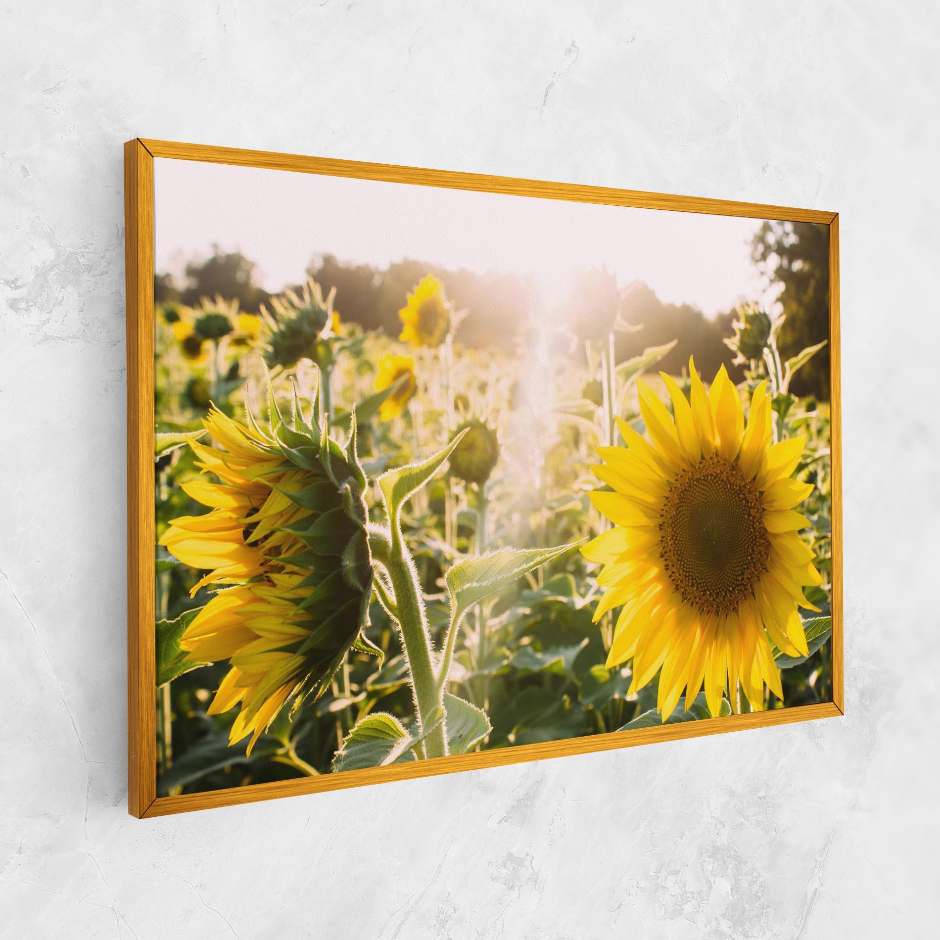 Leinwandbild Yellow Sun Flower mockup 1