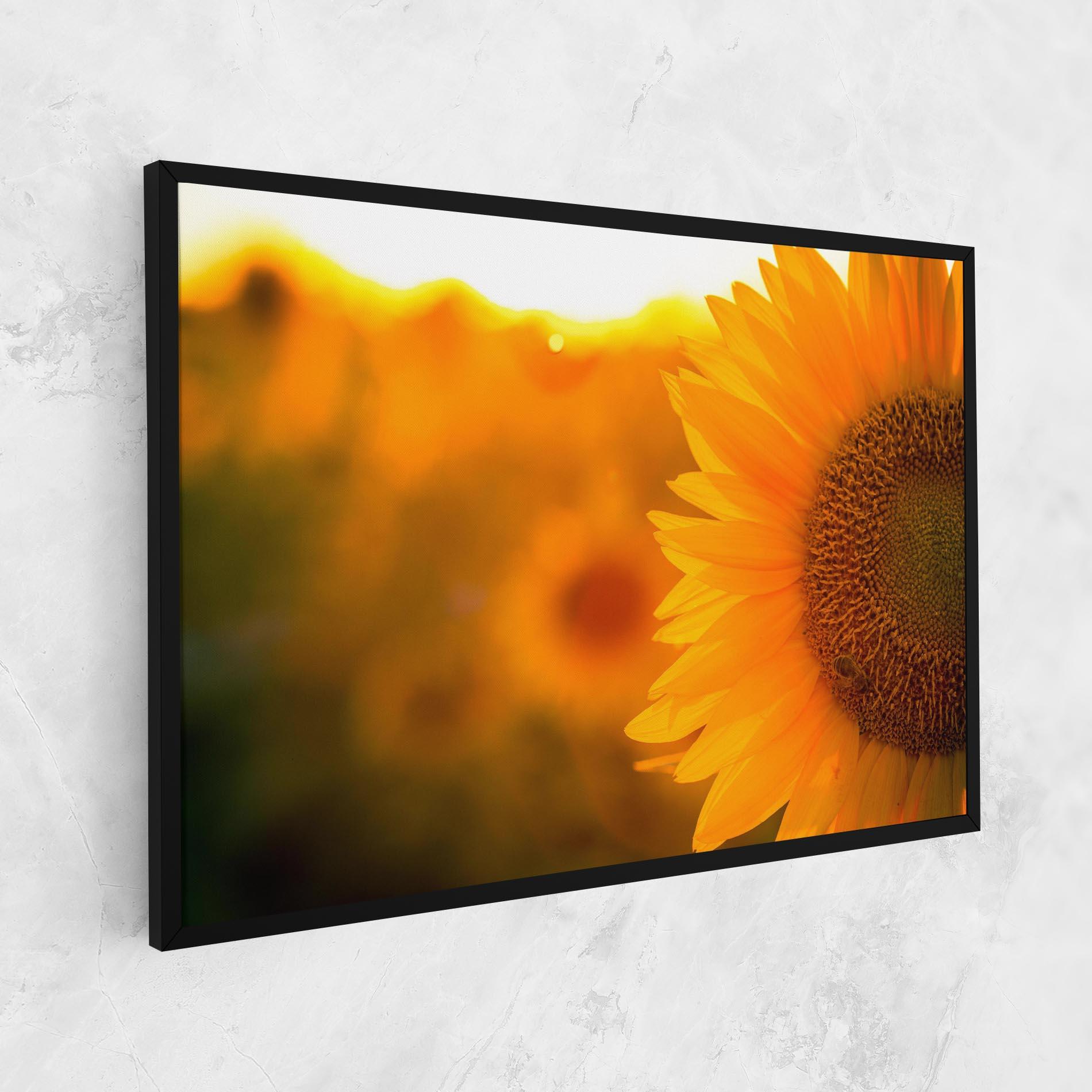 Leinwandbild Sunflower mockup 1