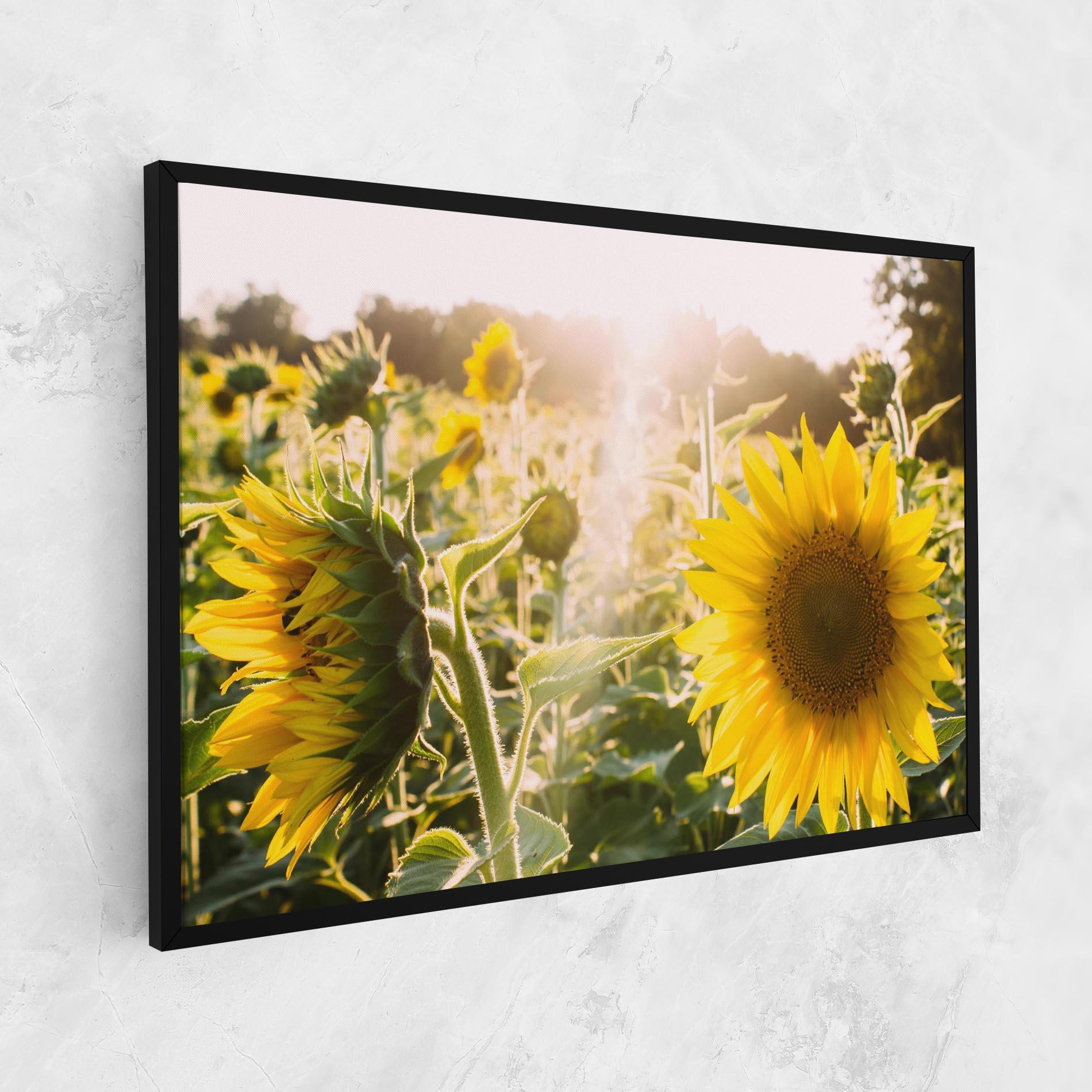 Leinwandbild Yellow Sun Flower mockup 1